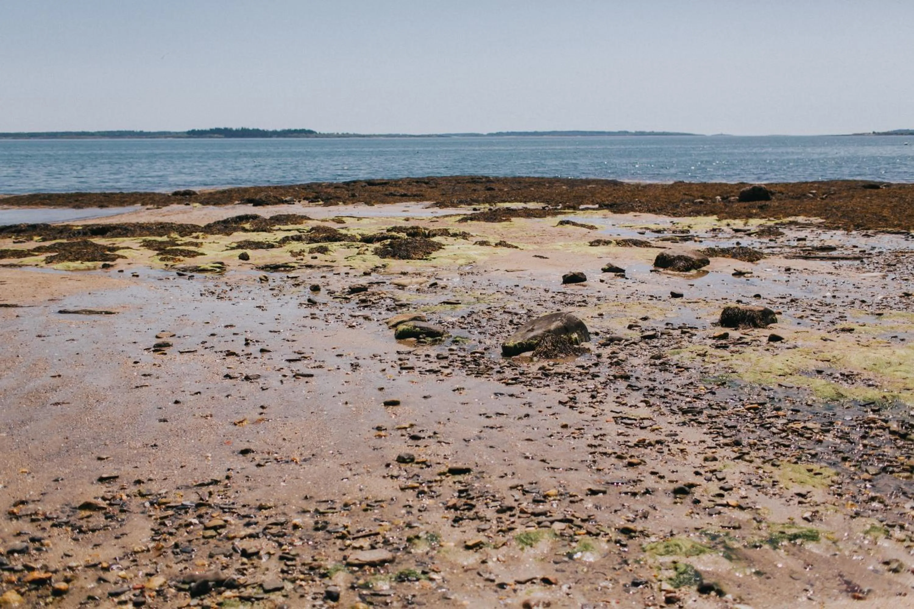 Beach in Chebeague Island Inn
