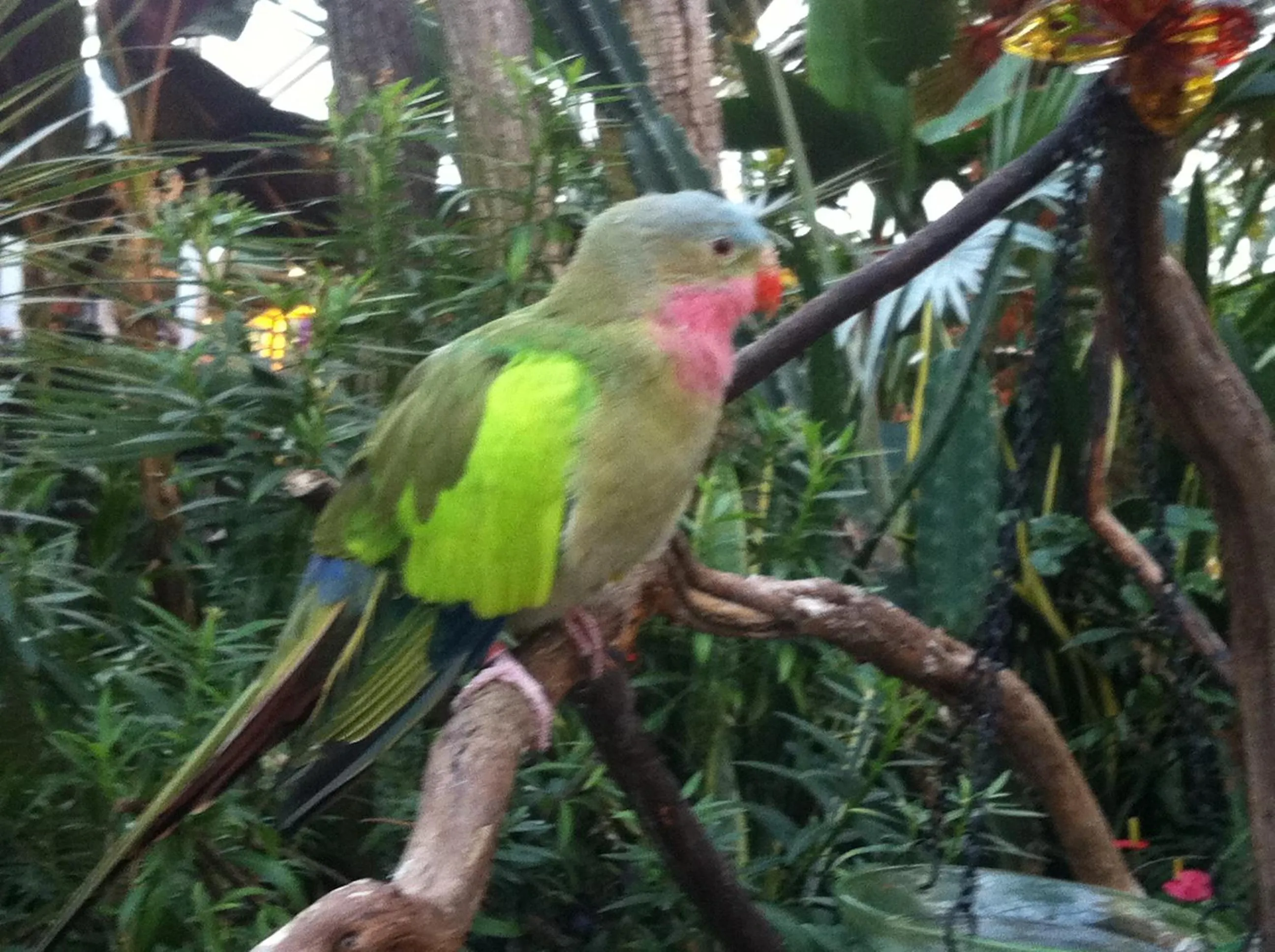 Off site in Cozy Bedrooms Guest House