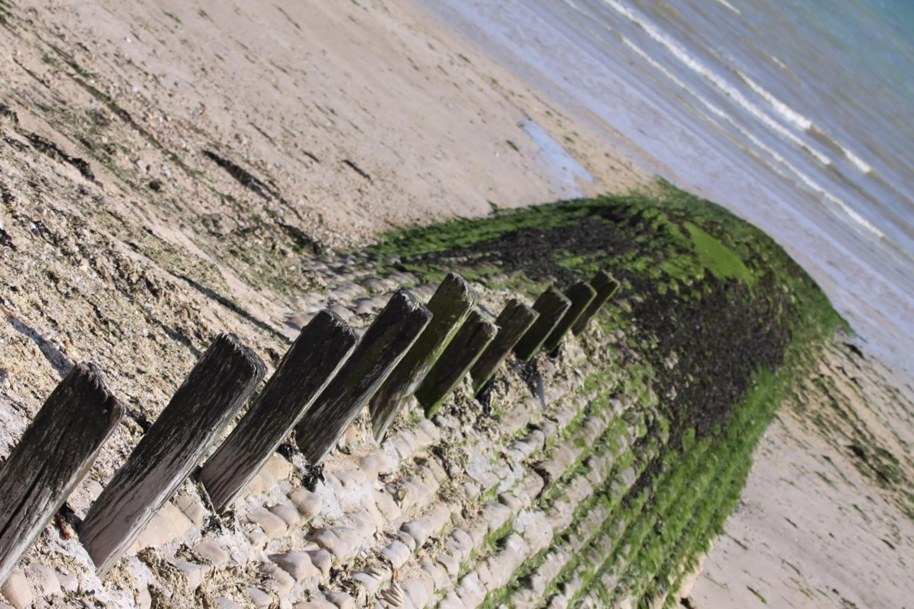 Natural landscape in Relais du Cap romain