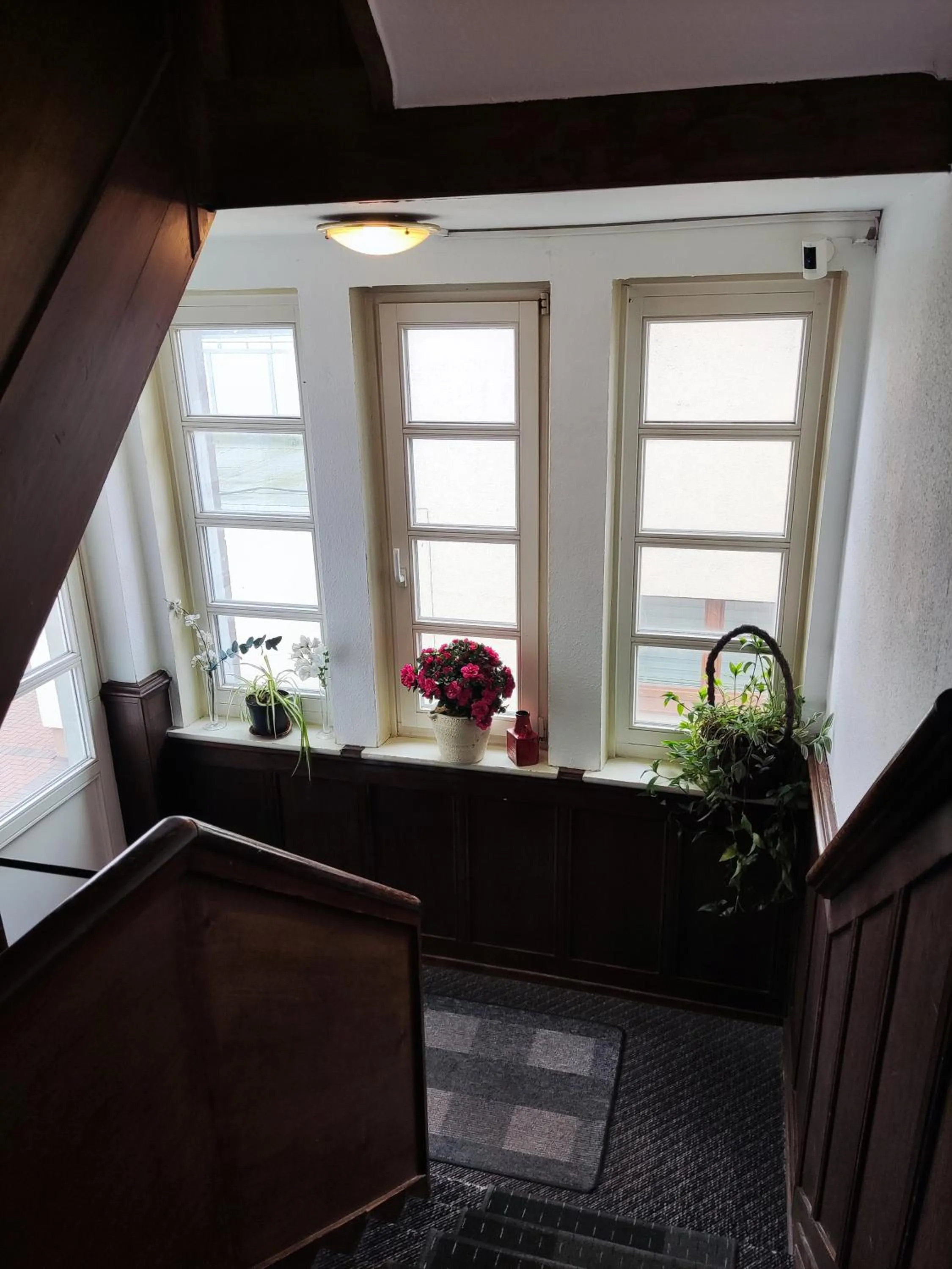 Decorative detail in Pension Zum Burggrafen