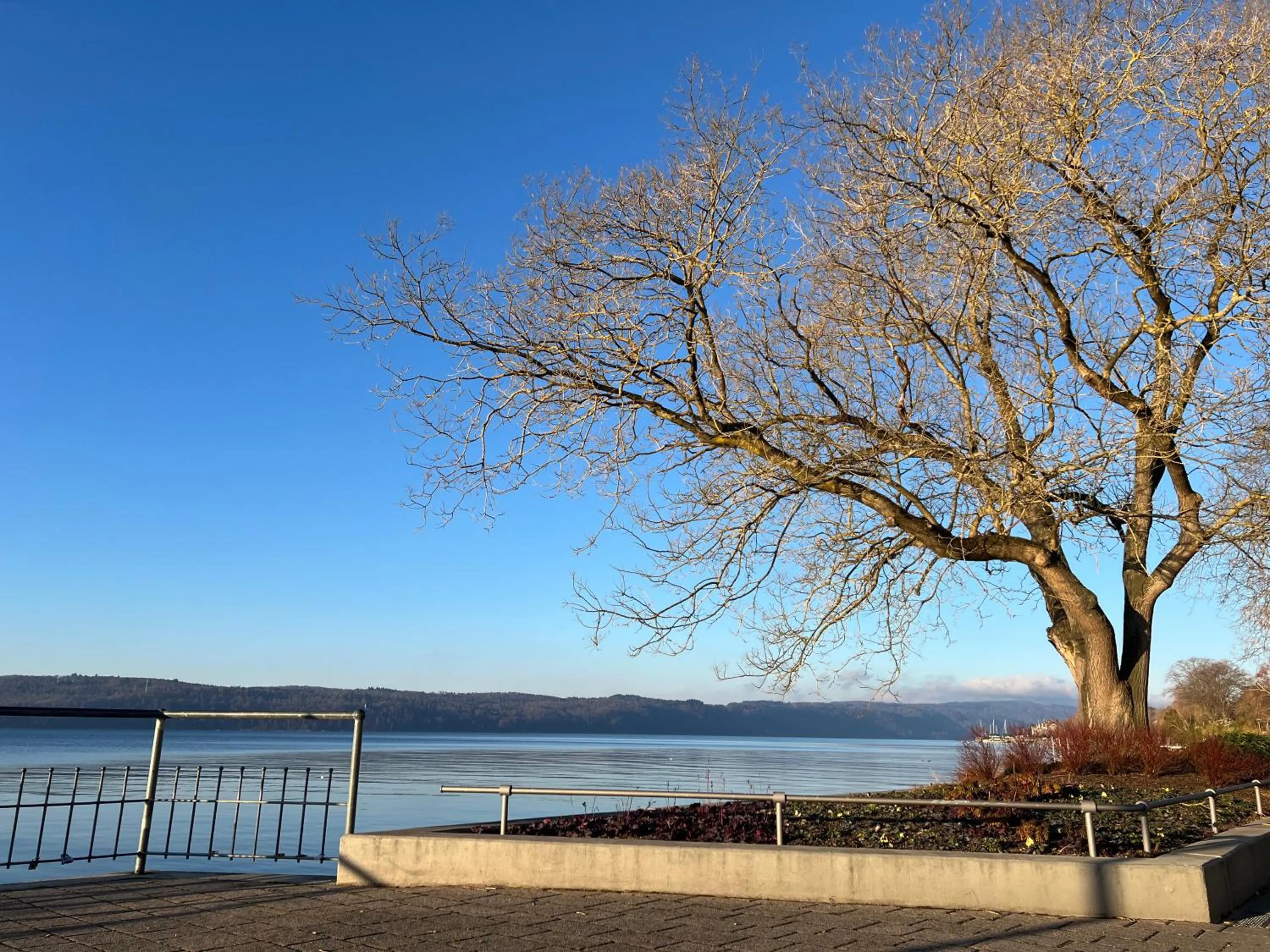 Nearby landmark in Hotel Capri