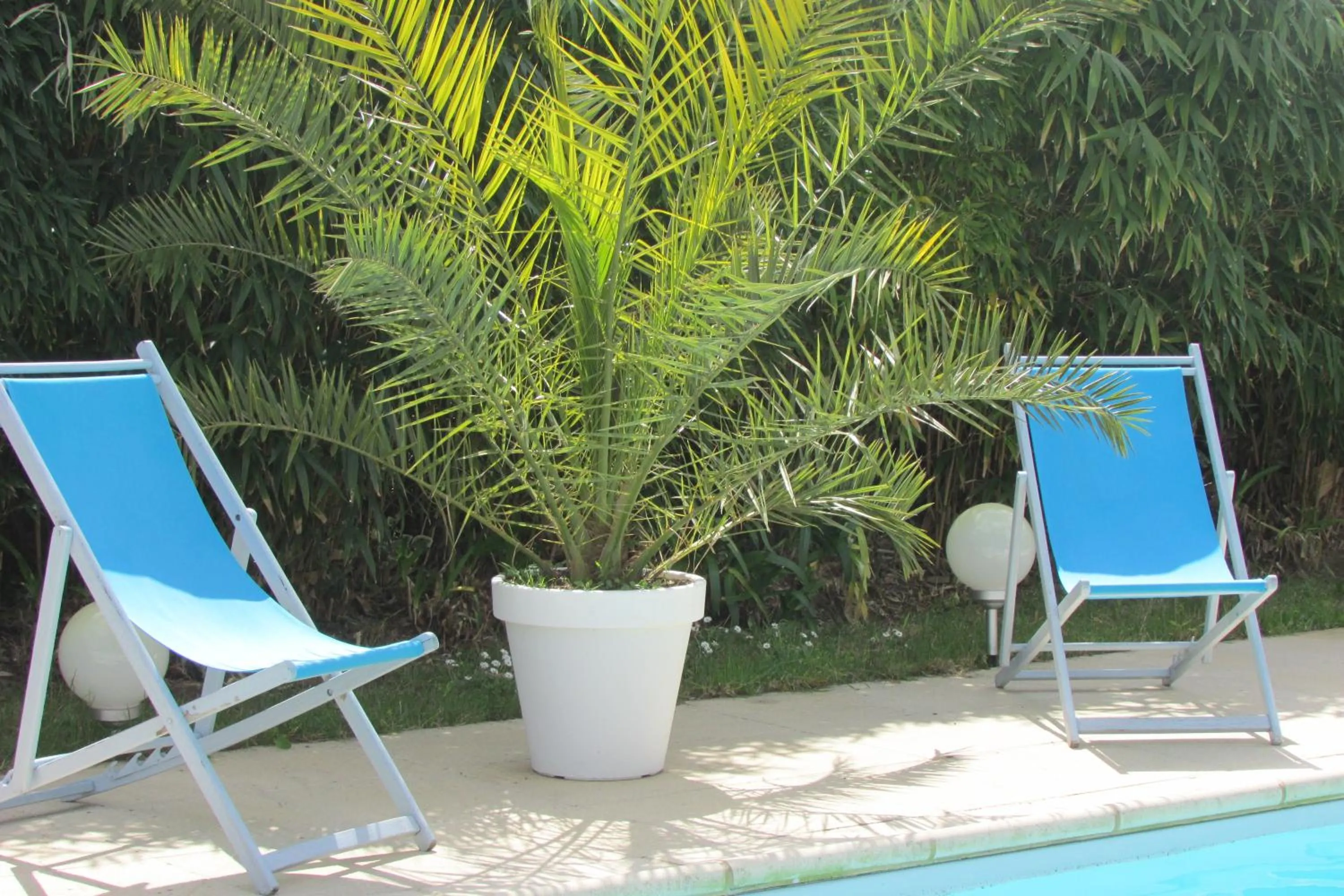 Swimming pool in L'Agapanthe