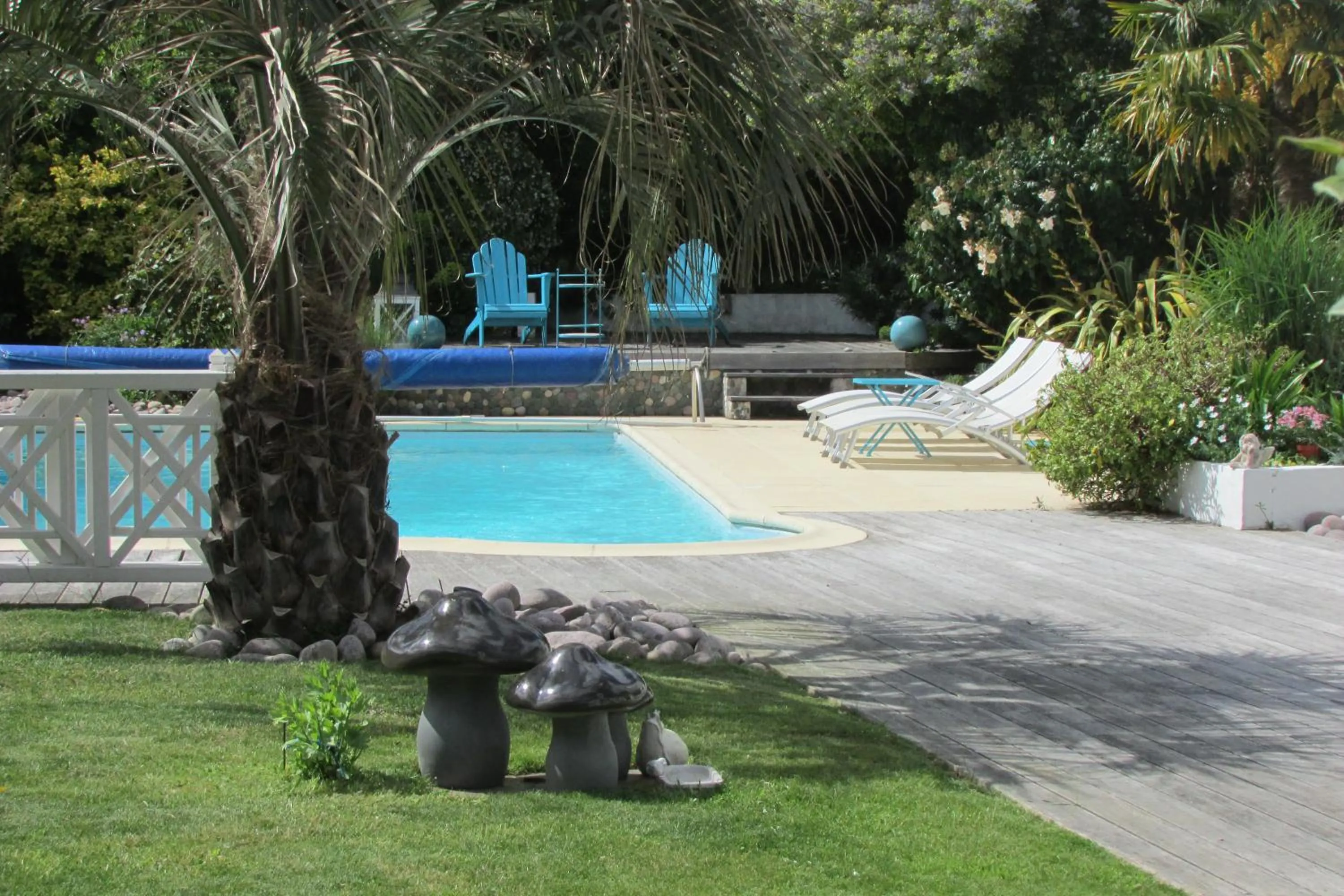 Swimming pool in L'Agapanthe