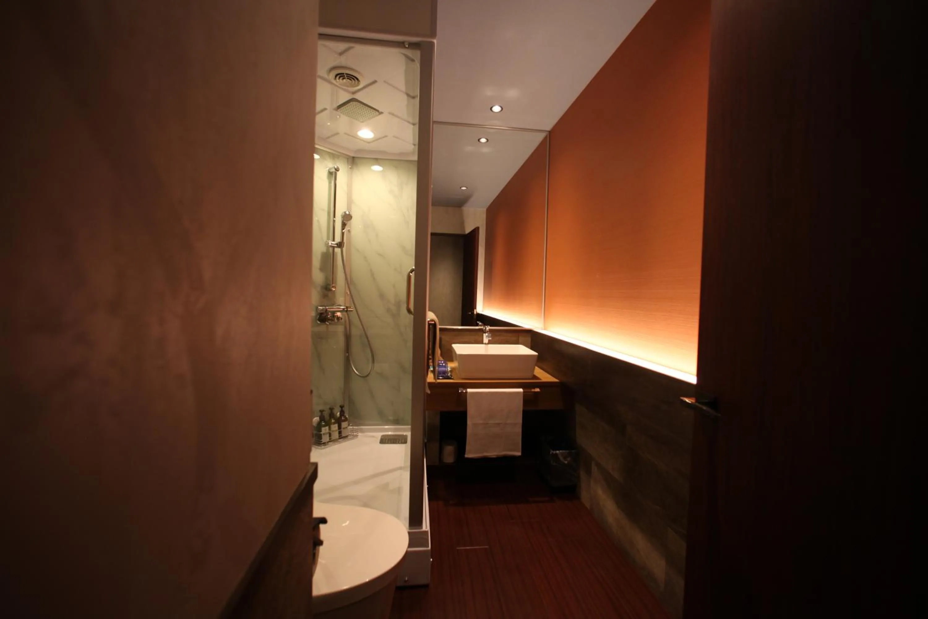 Shower in Kojohama Onsen Hotel