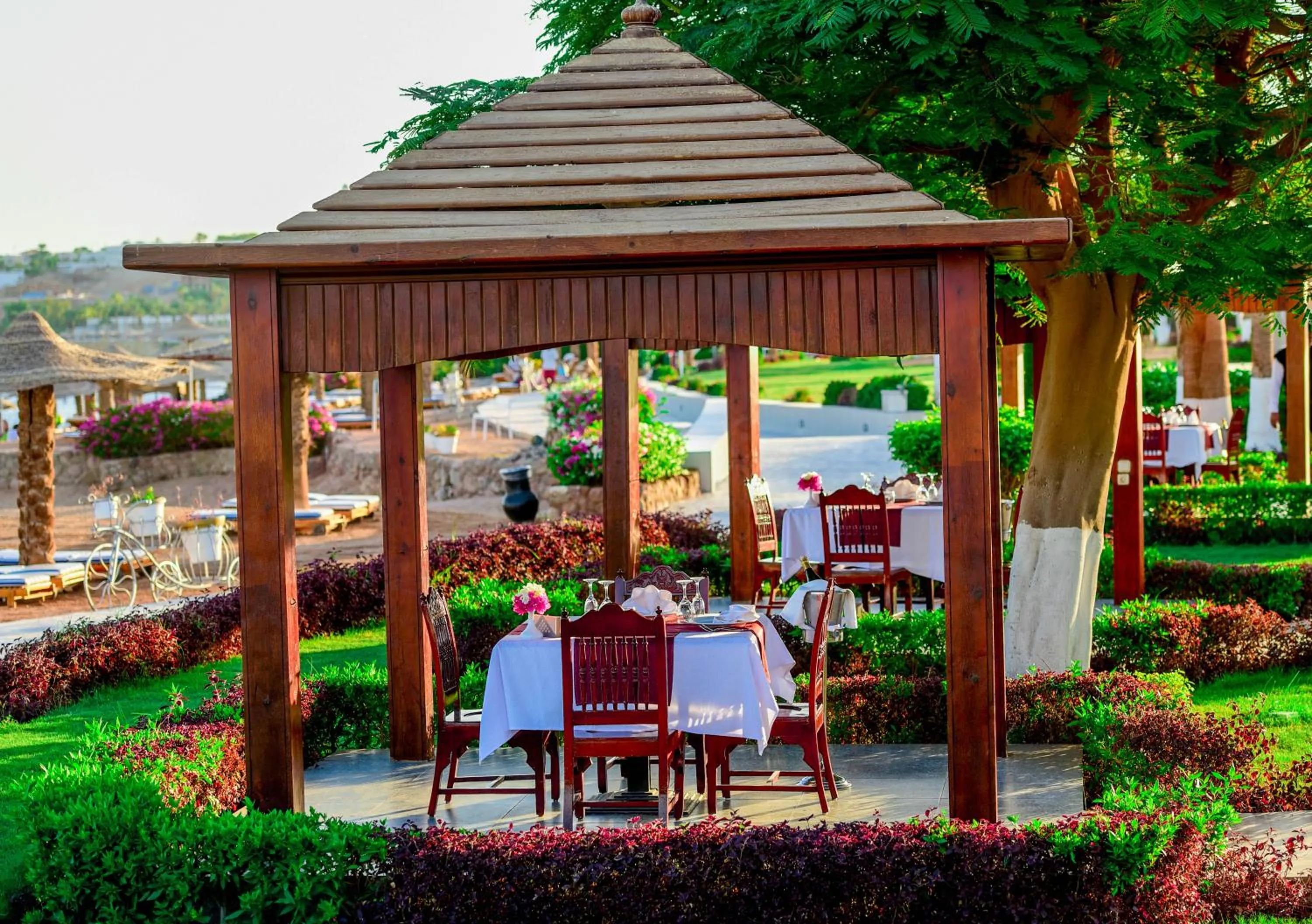 Beach in Monte Carlo Sharm Resort & Spa