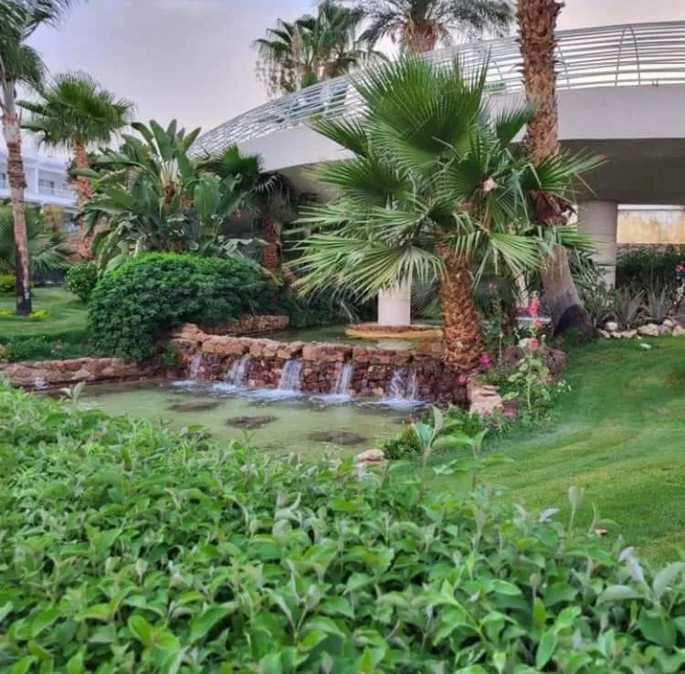 Natural landscape in Monte Carlo Sharm Resort & Spa