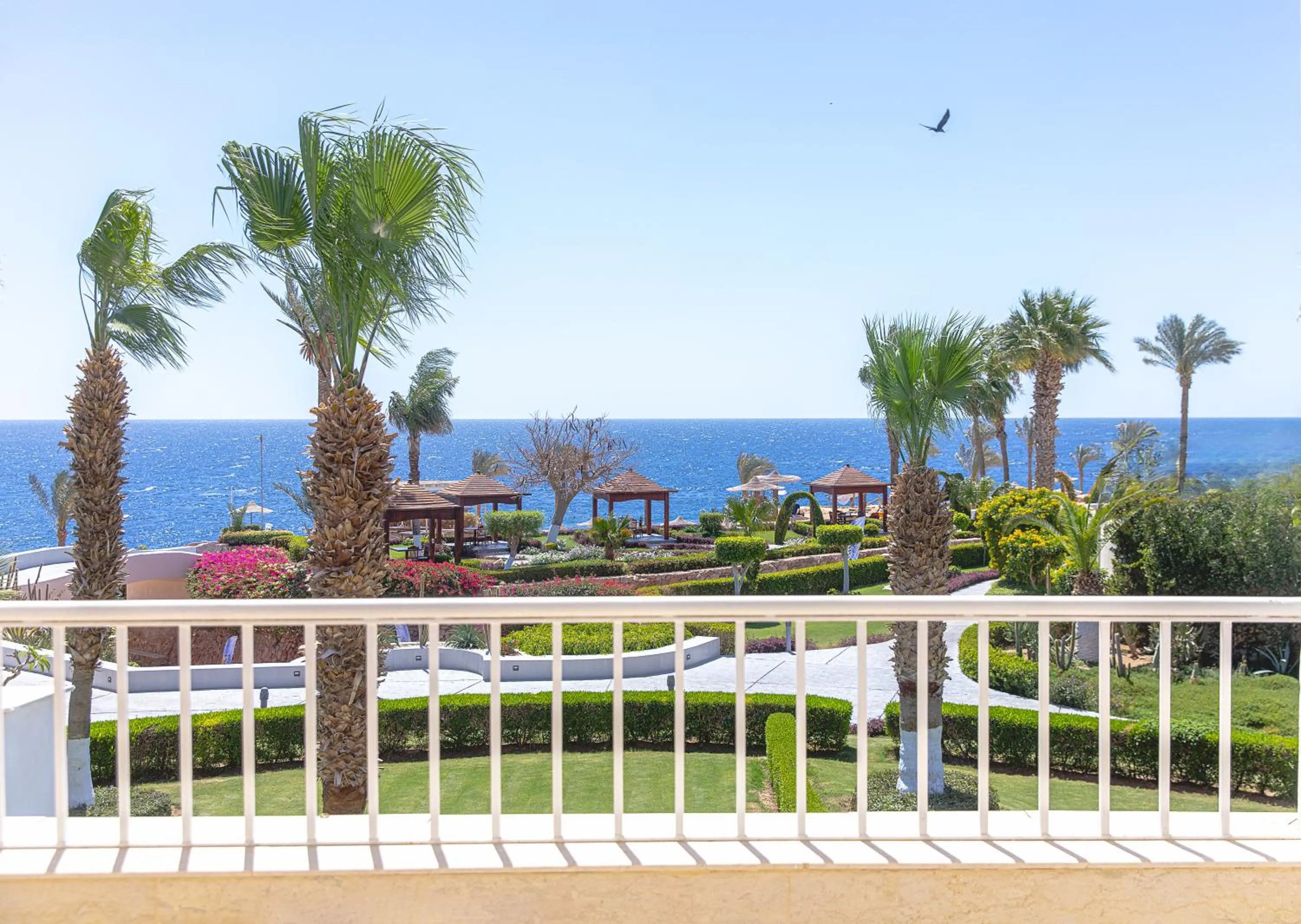 View (from property/room) in Monte Carlo Sharm Resort & Spa
