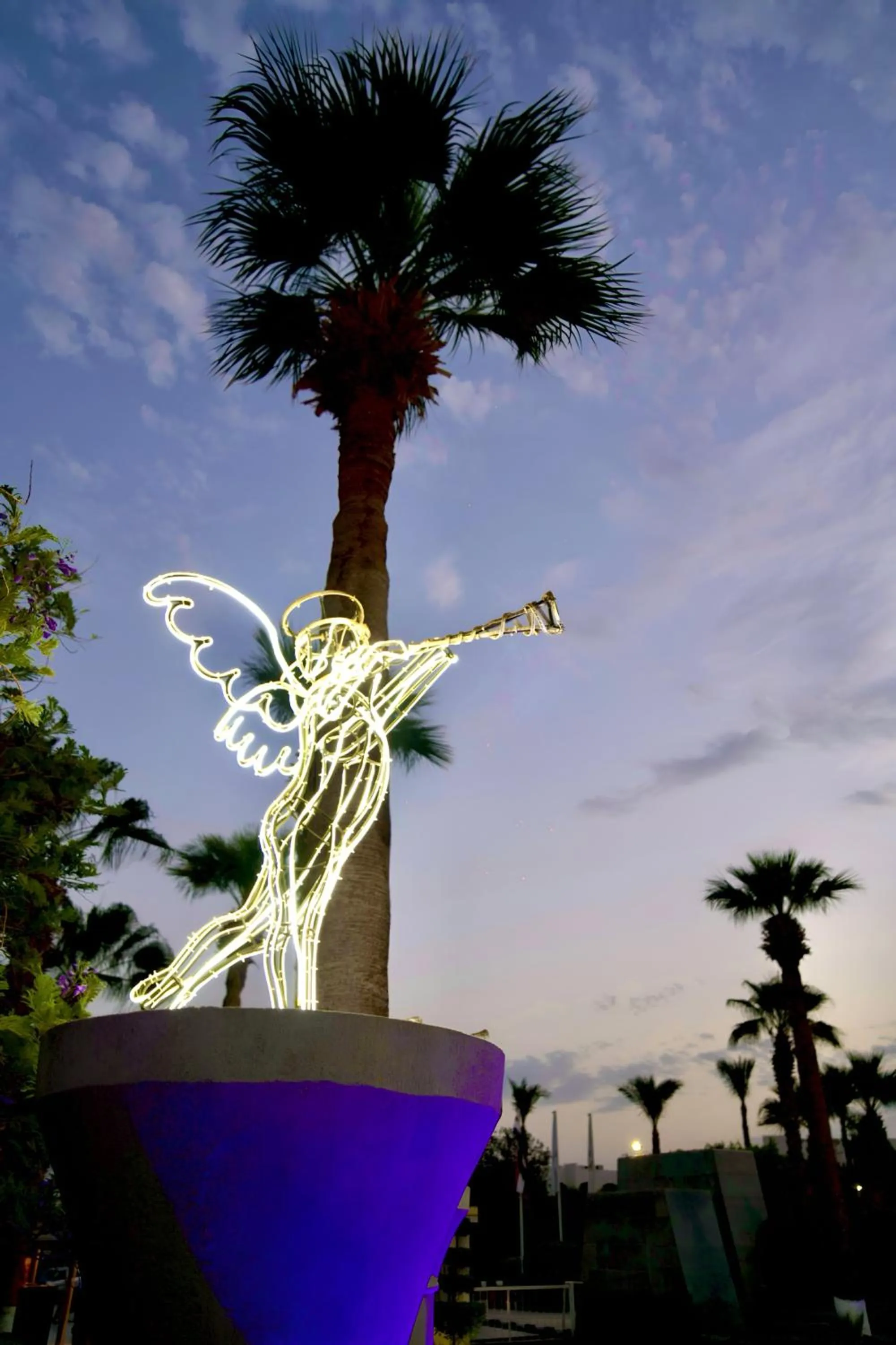 Garden in Monte Carlo Sharm Resort & Spa