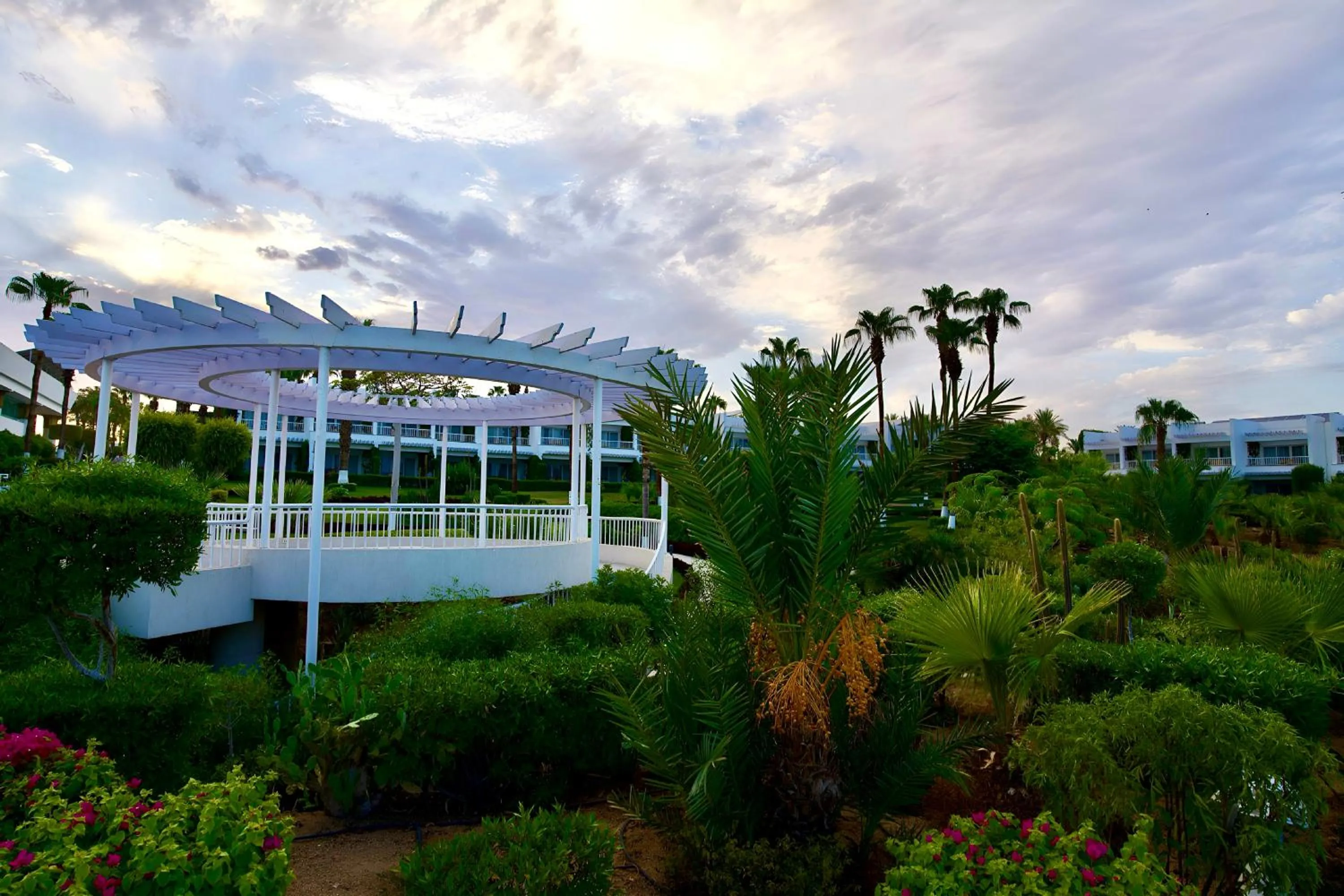 Garden view in Monte Carlo Sharm Resort & Spa