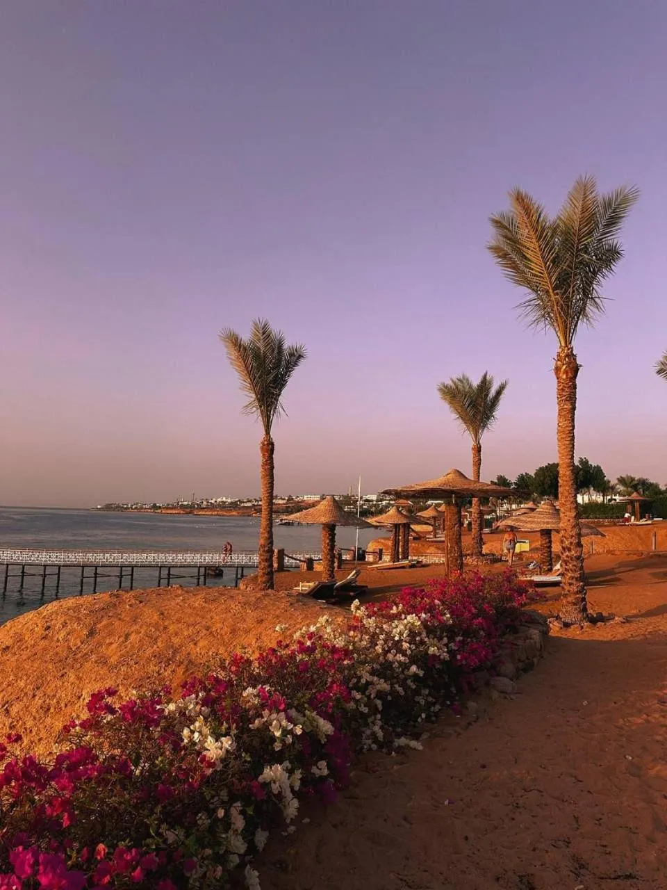 Beach in Monte Carlo Sharm Resort & Spa