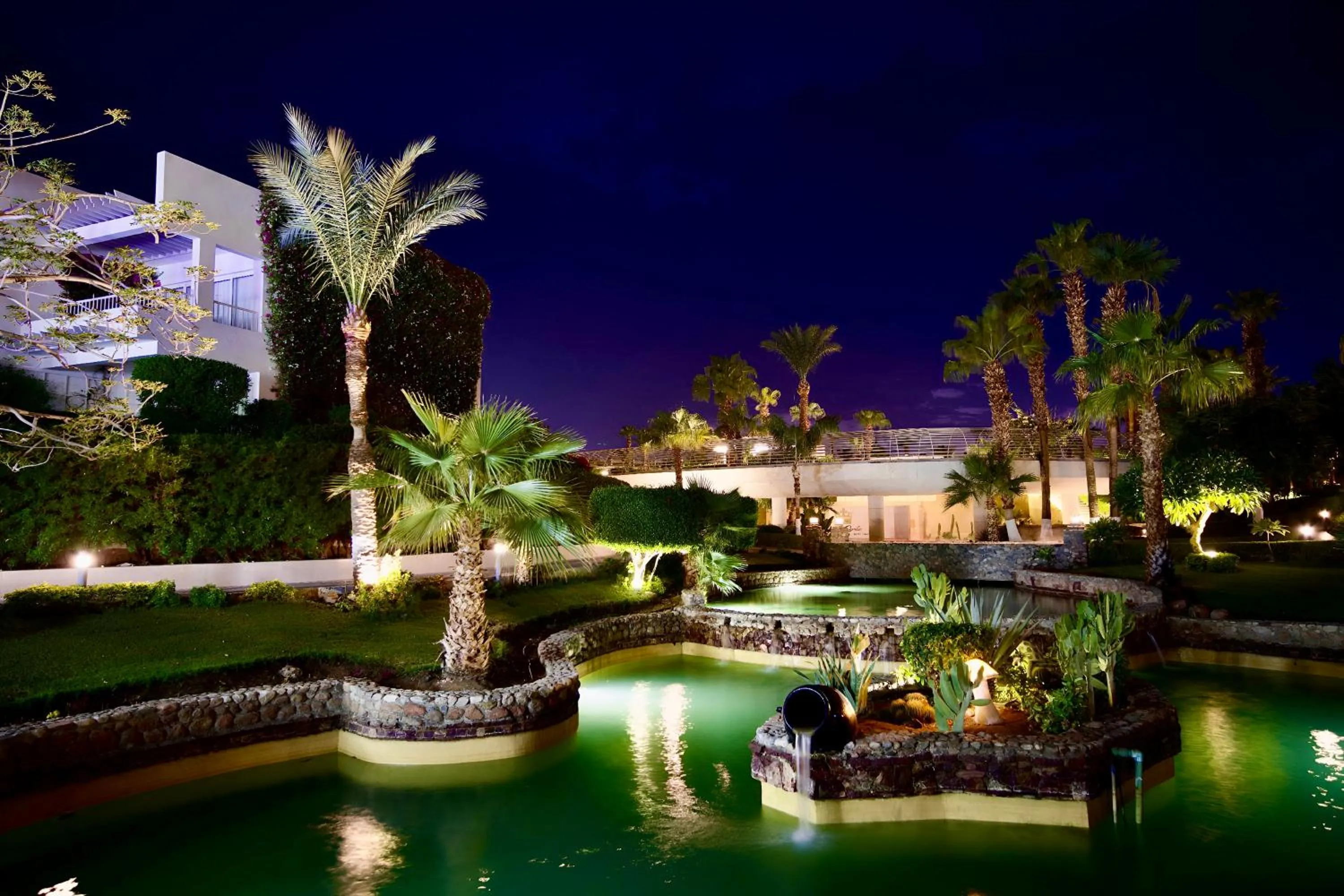 Night in Monte Carlo Sharm Resort & Spa