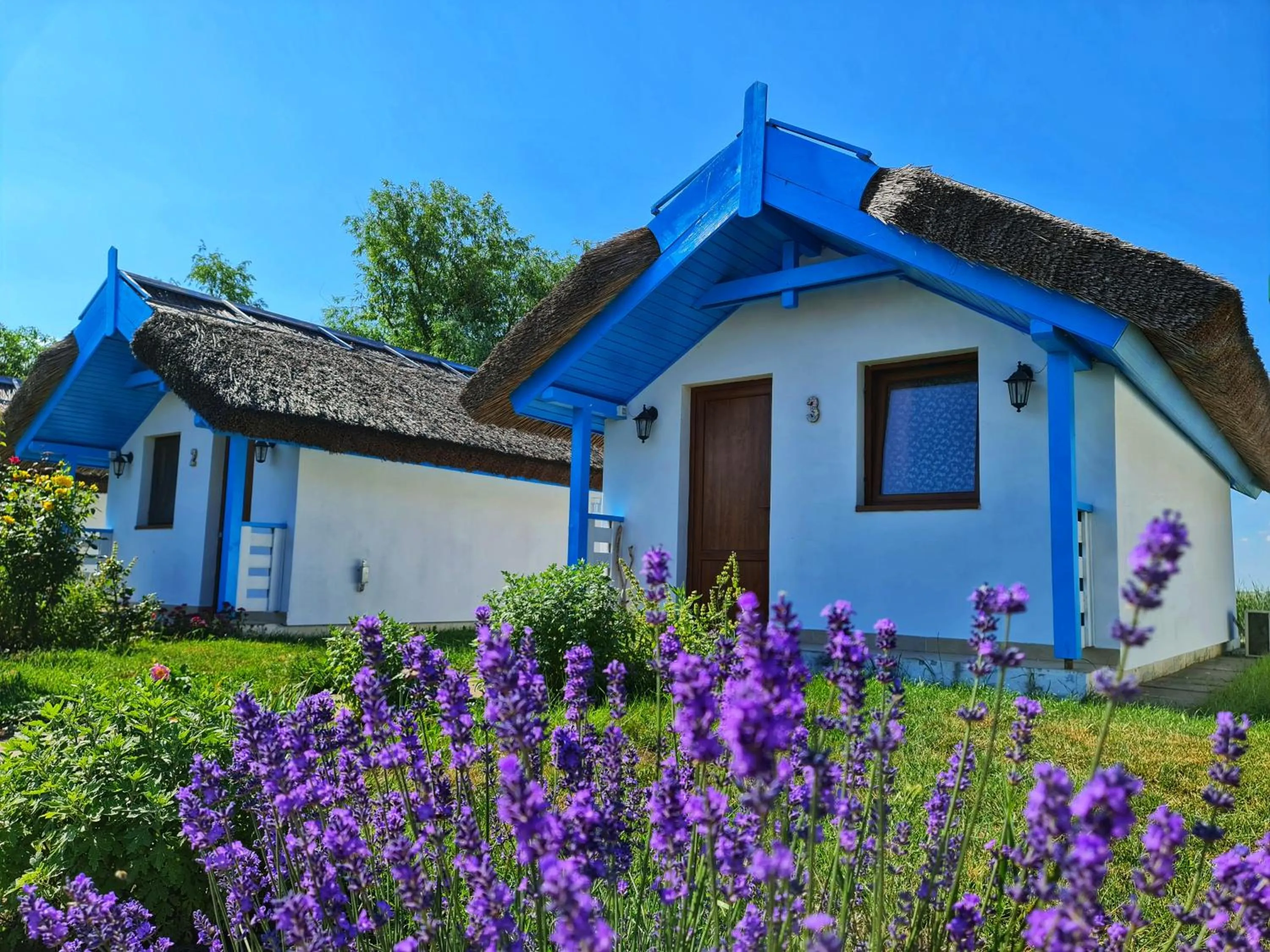 View (from property/room) in Casa Pescarilor