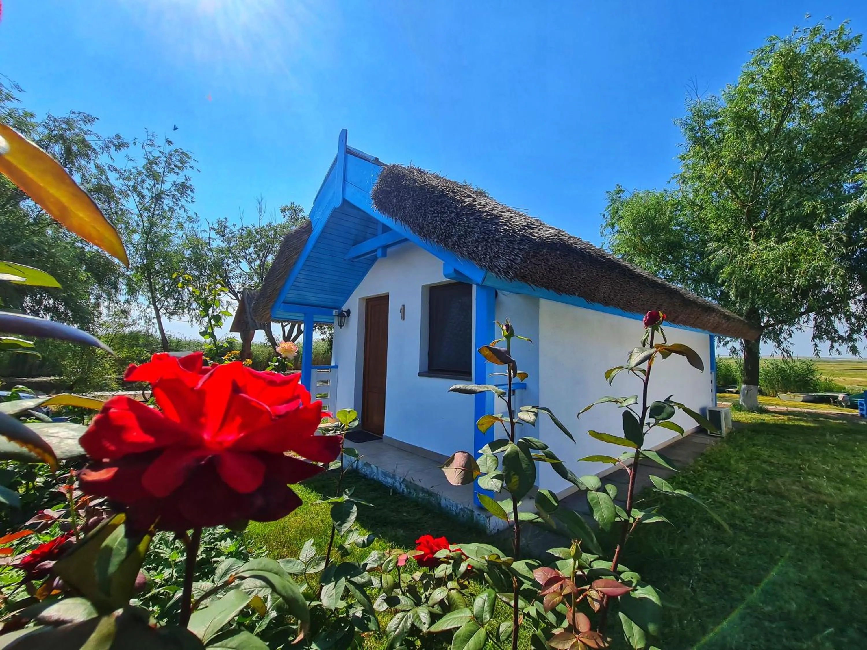 View (from property/room) in Casa Pescarilor