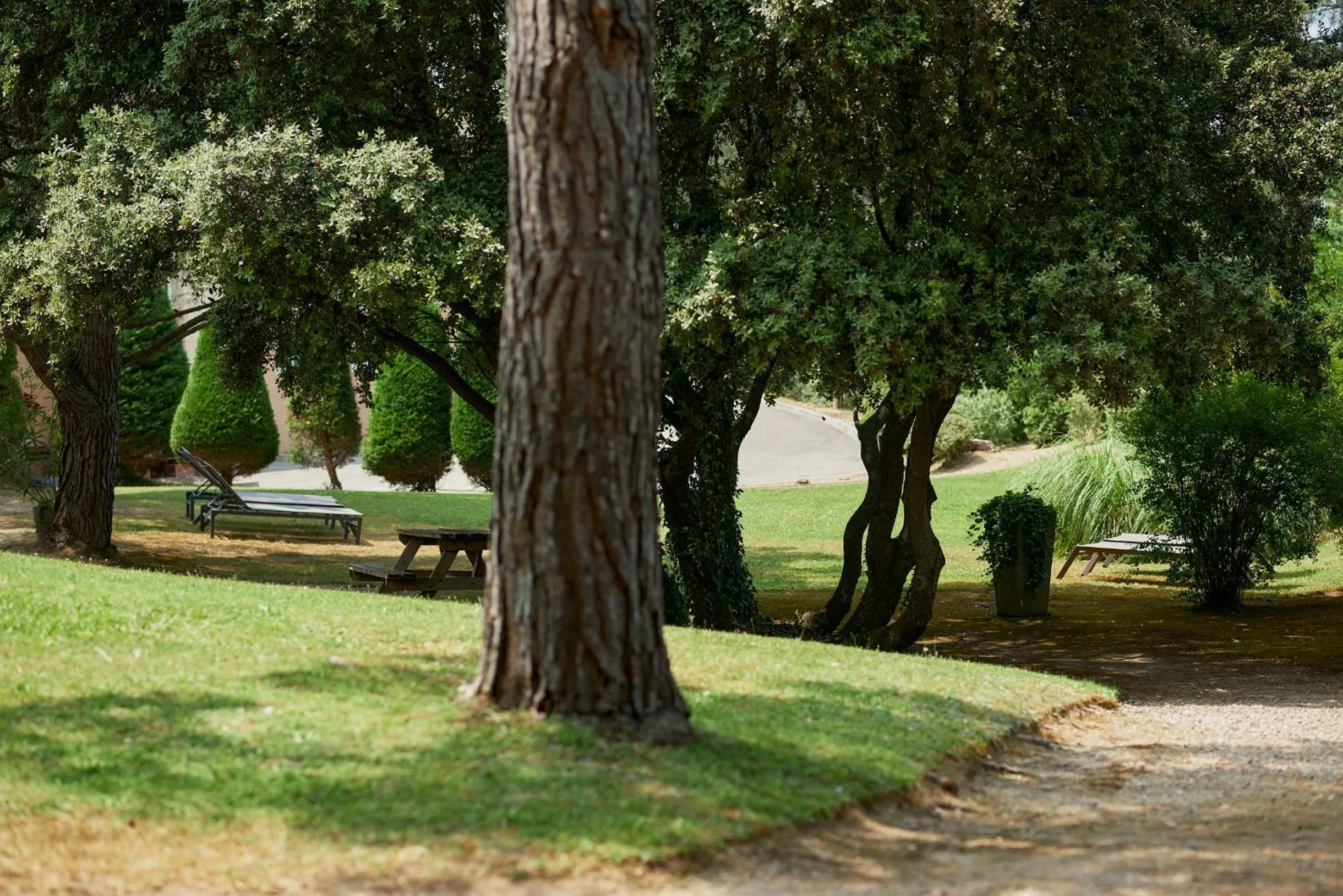 Garden in Hôtel Birdy by Happyculture