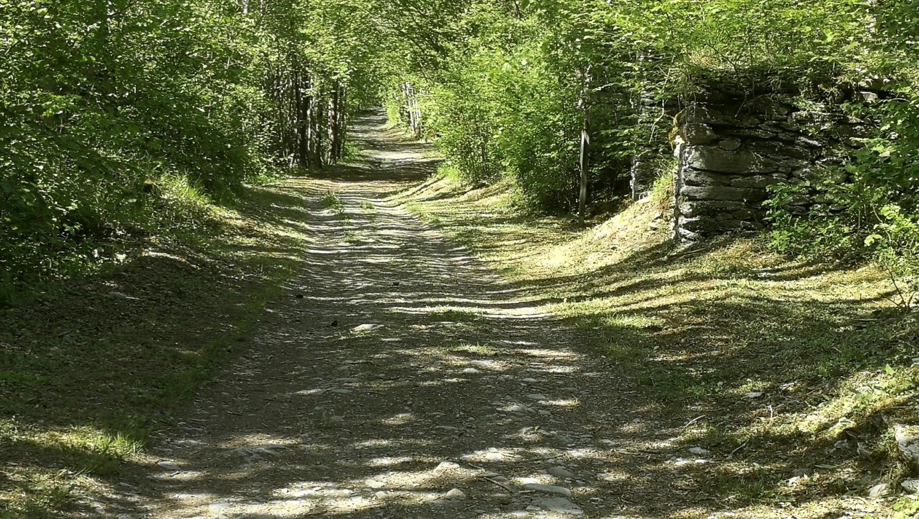 Activities in Chalet la Cachette Cyclists & Skiers