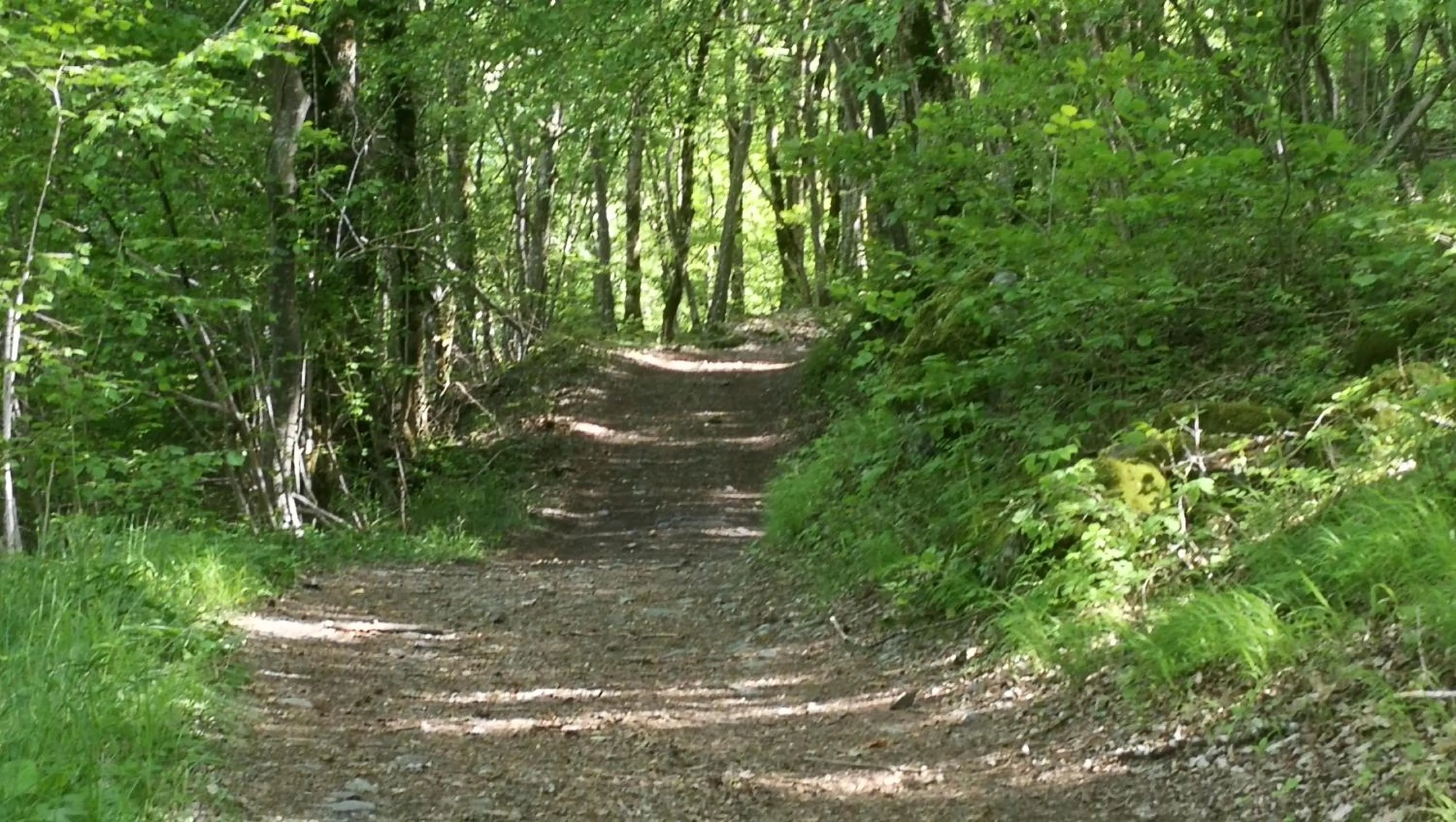 Activities in Chalet la Cachette Cyclists & Skiers