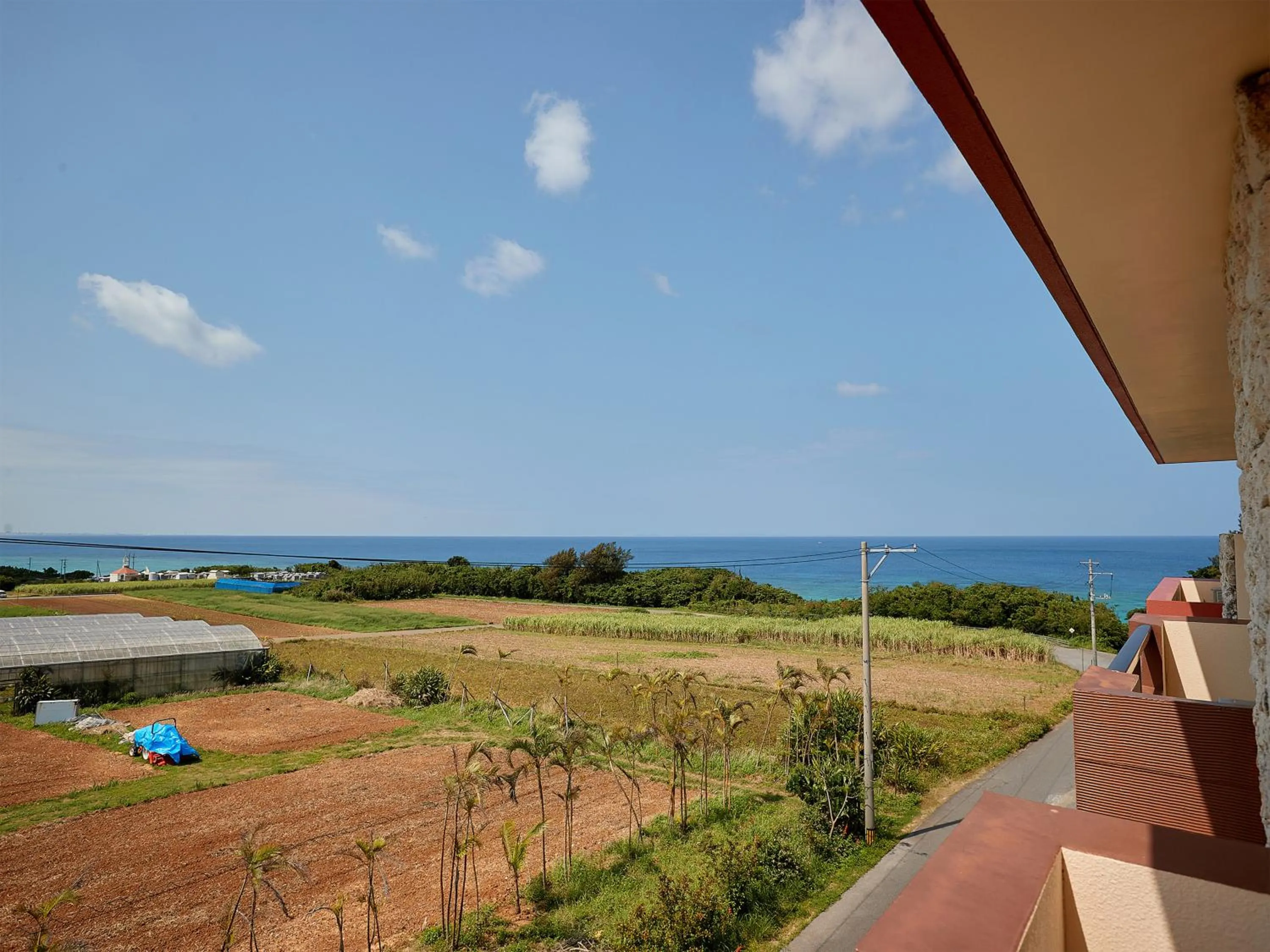 Photo of the whole room in Hotel Murasakimura