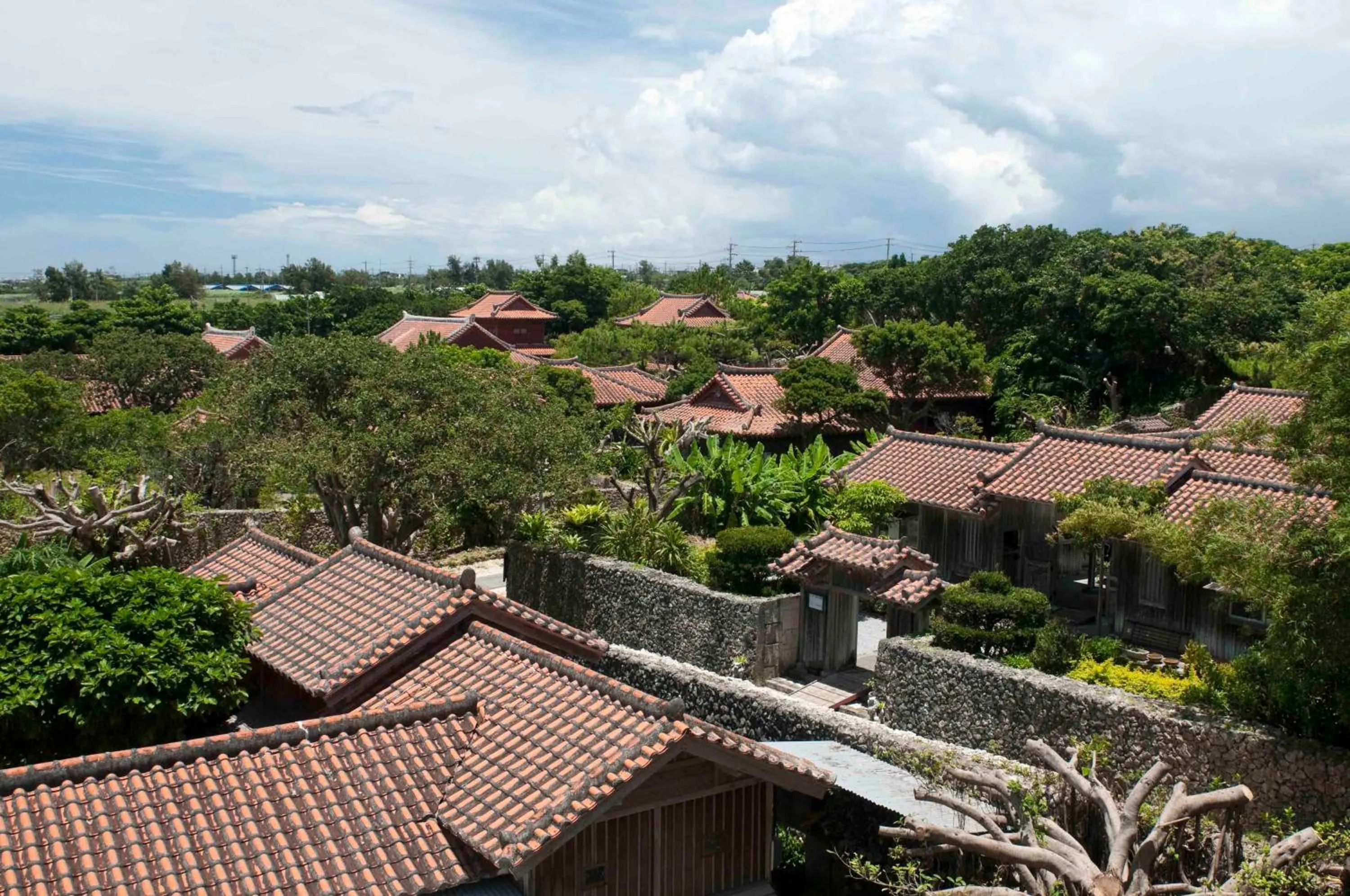 Area and facilities in Hotel Murasakimura