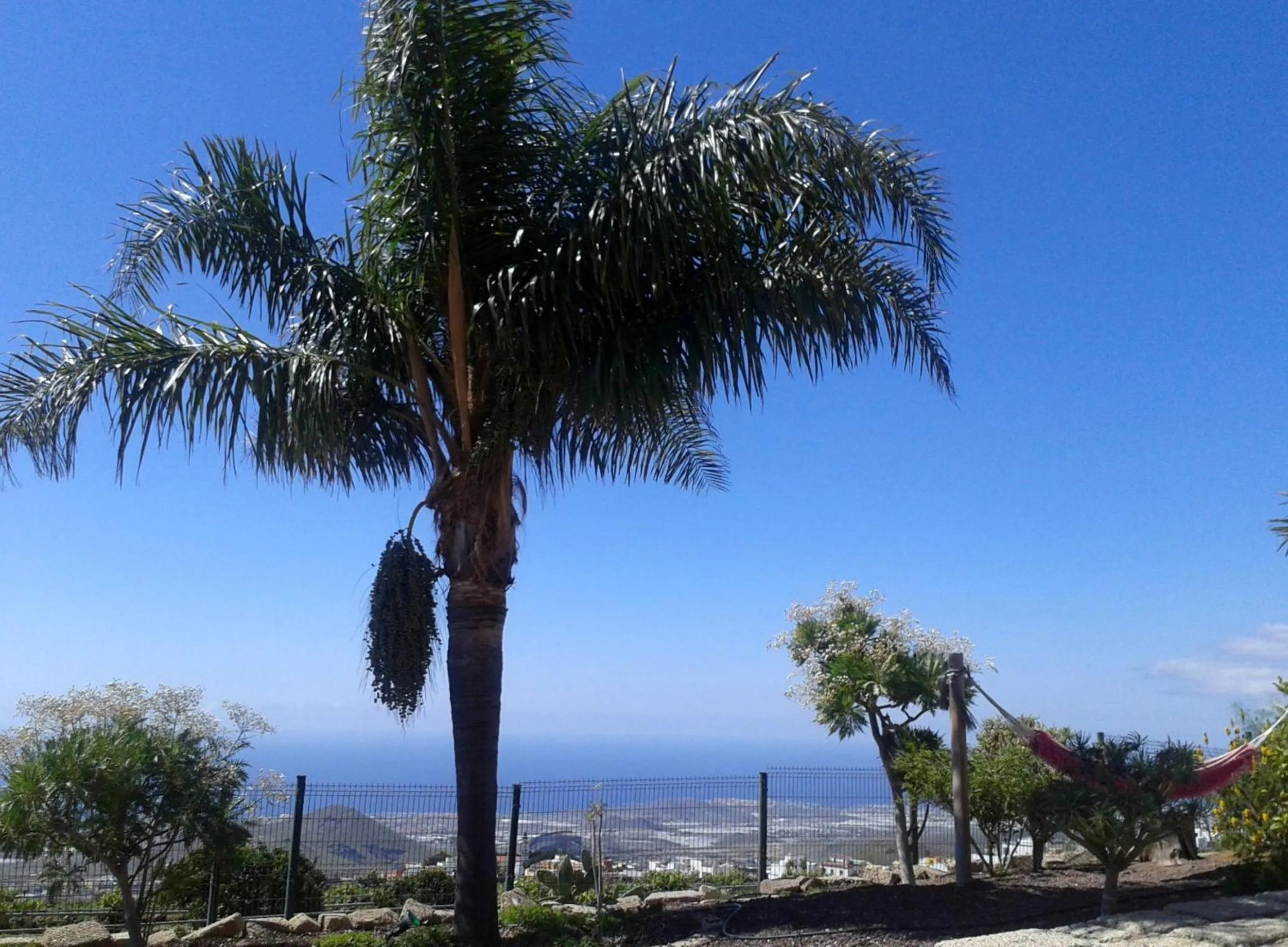 View (from property/room) in Eco Finca Vista Bonita