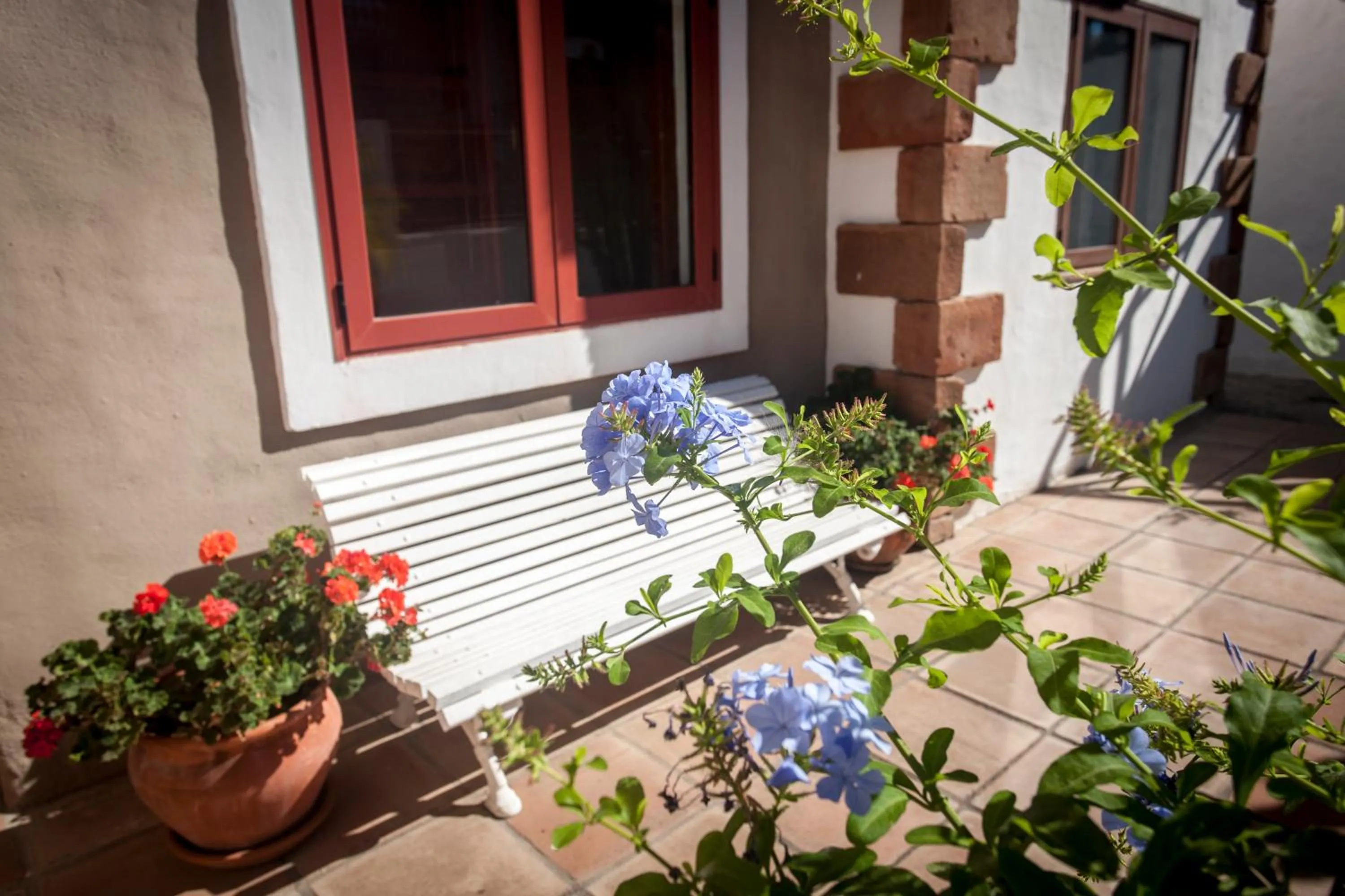 Area and facilities in Eco Finca Vista Bonita