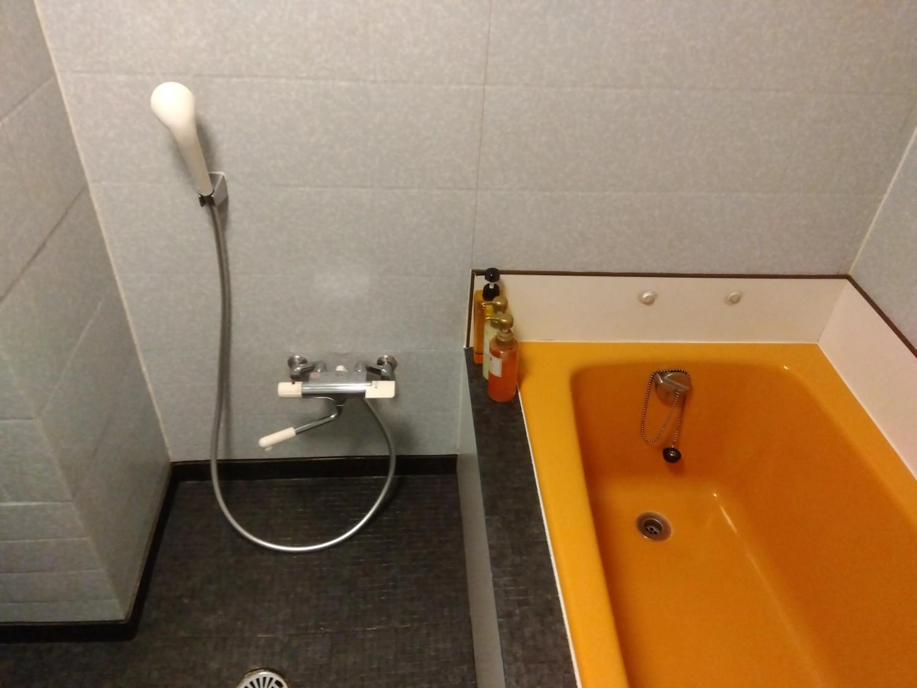 Shower in Hotel Unicorn