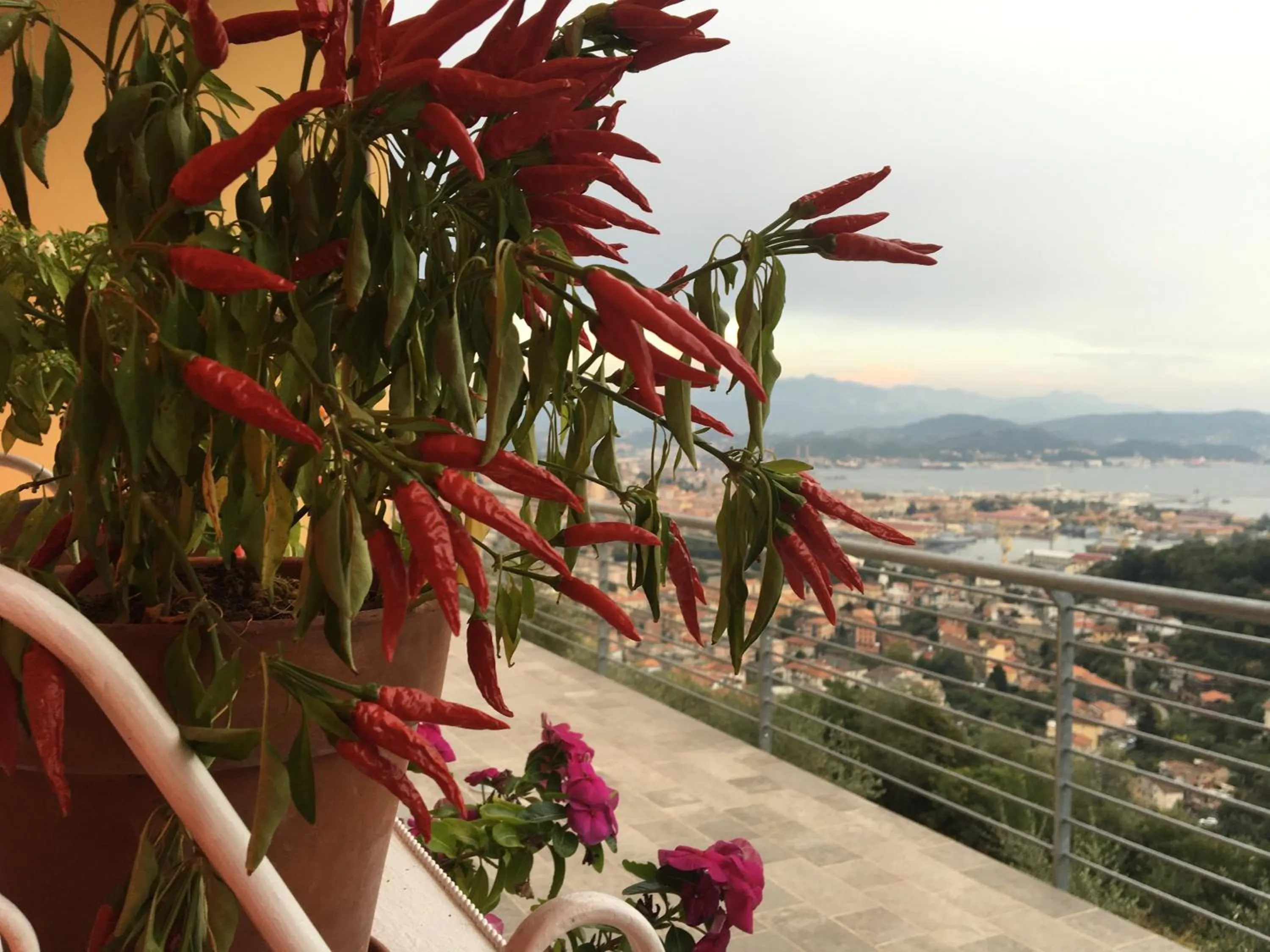 Garden in Agriturismo La Pietra 1 e La Pietra 2