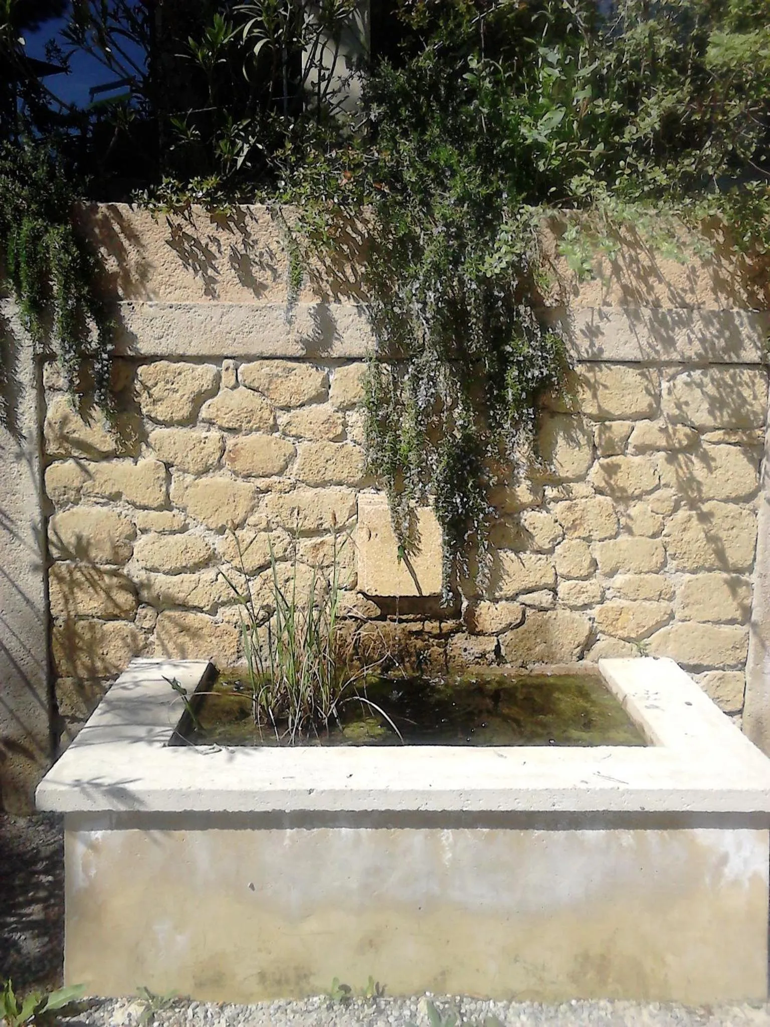 Garden in La Maison de Charlie