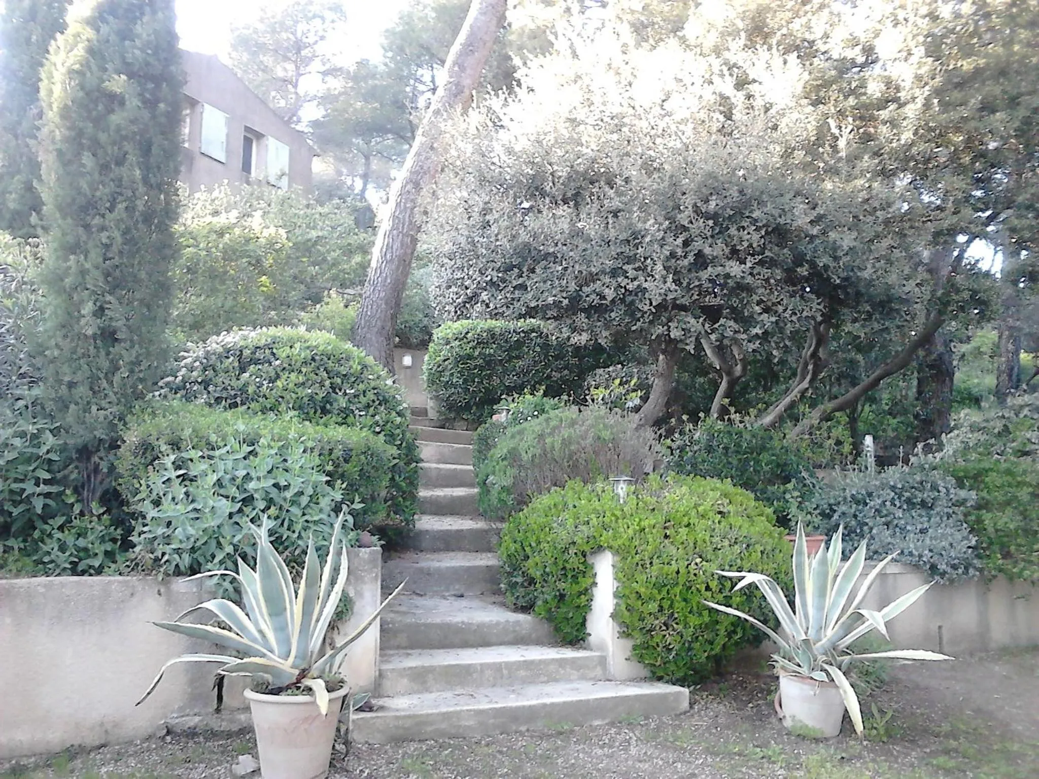 Garden view in La Maison de Charlie