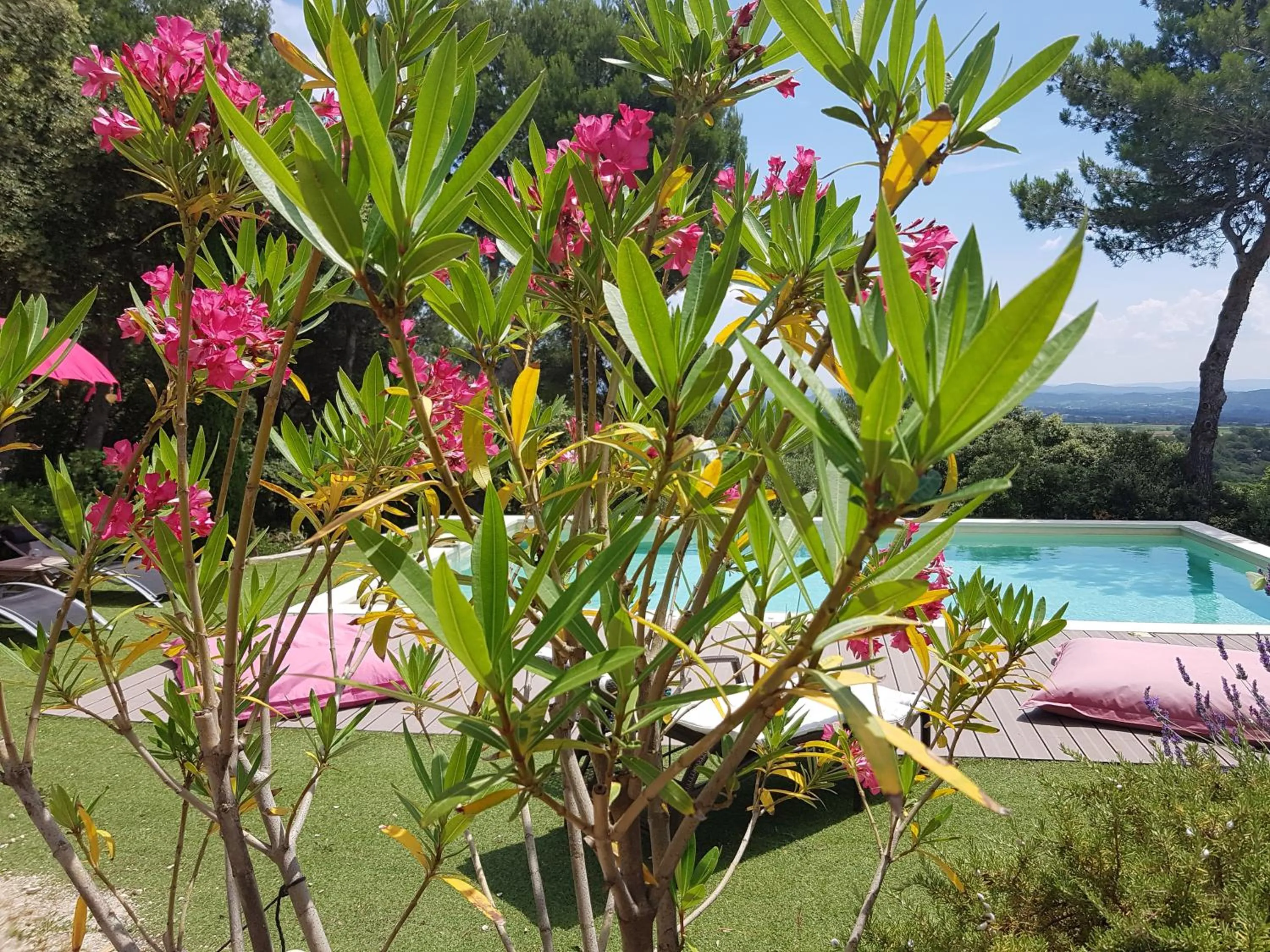 Garden view in La Maison de Charlie
