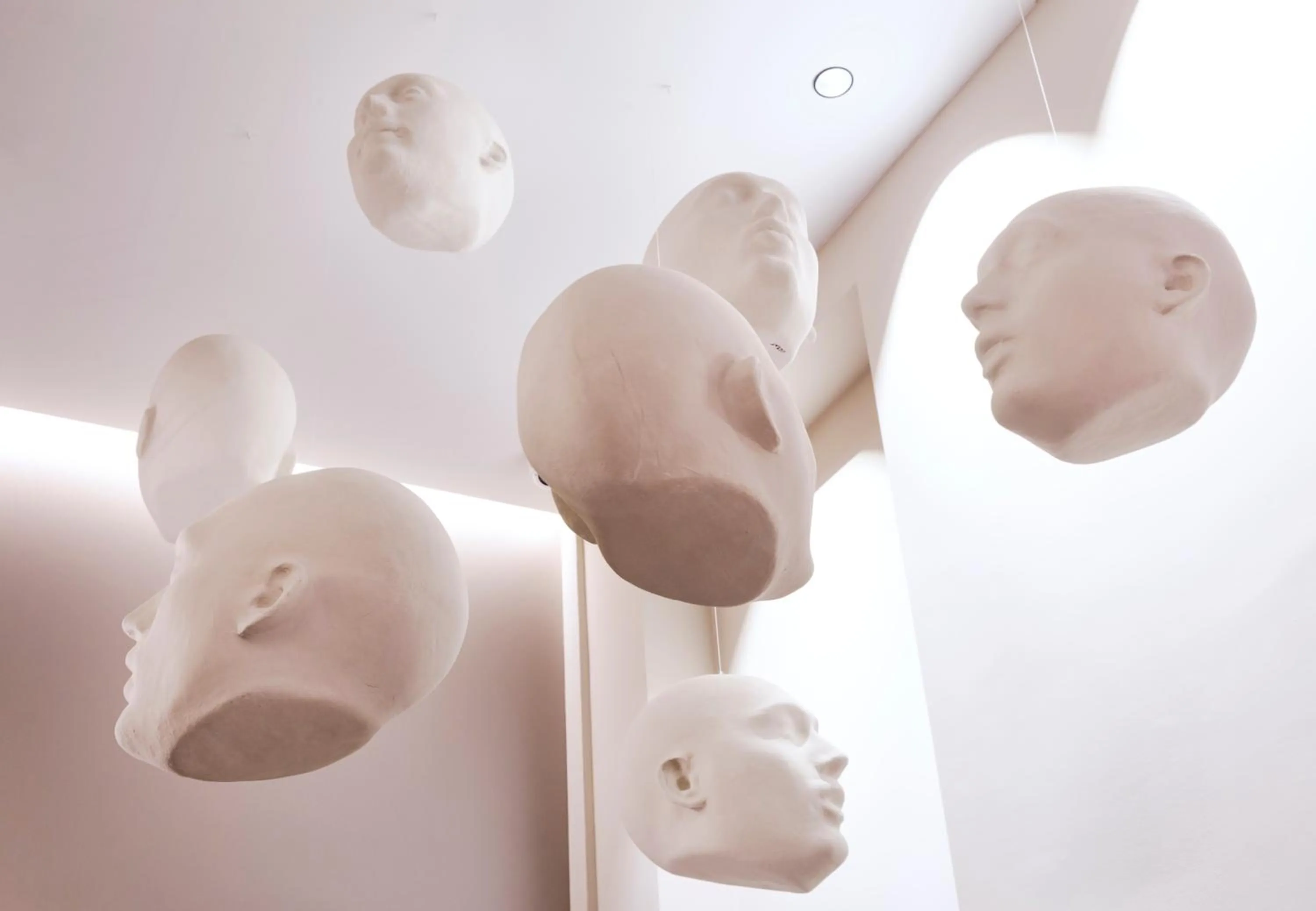 Other in One Shot Mercat