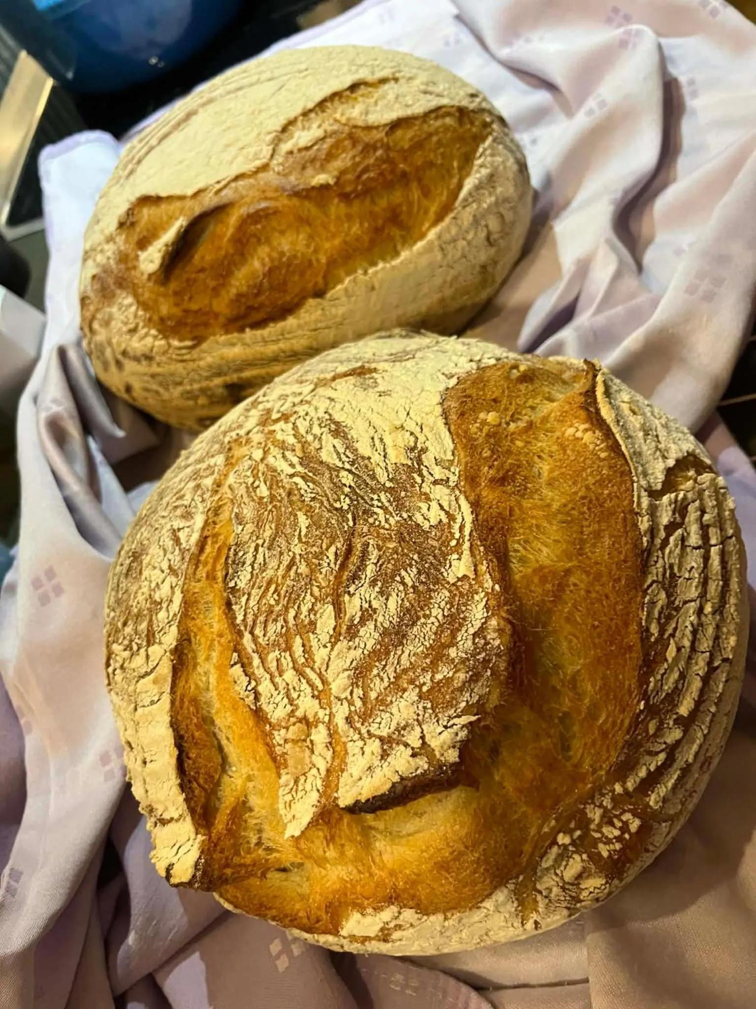 Breakfast in Mellby Atelier på Österlen