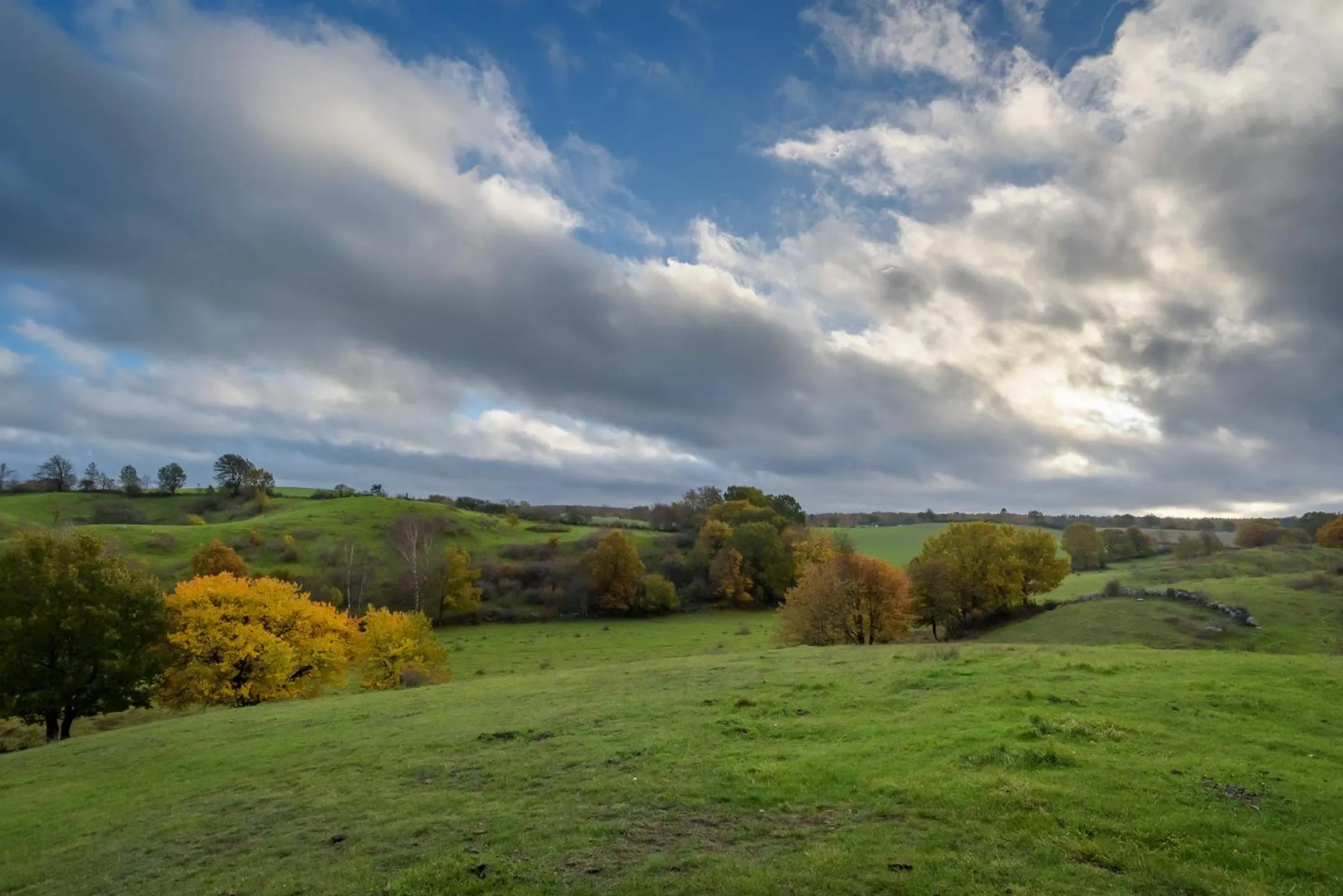 Natural landscape in Mellby Atelier på Österlen