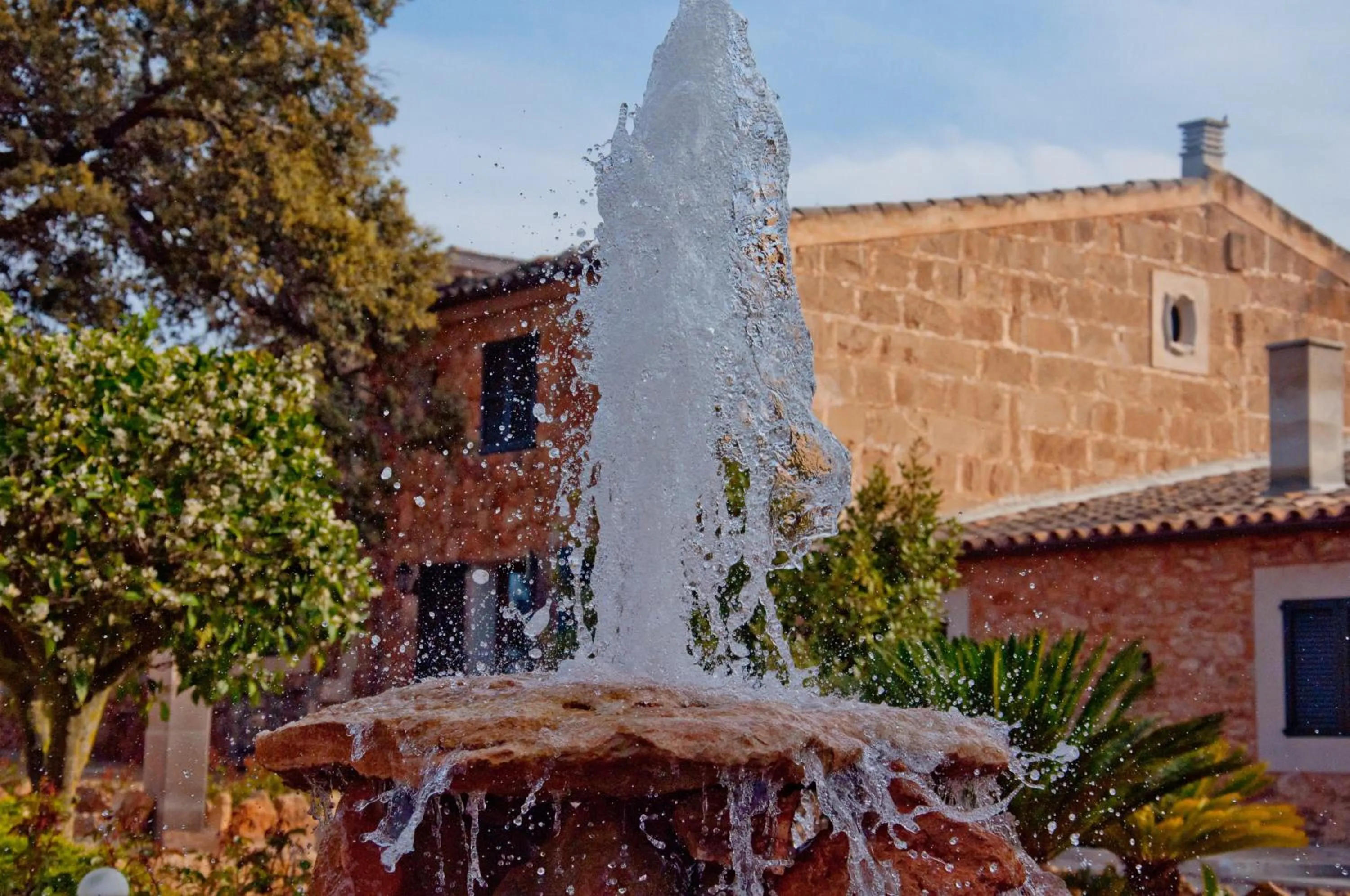 Day in Puig de Ros d’Alt