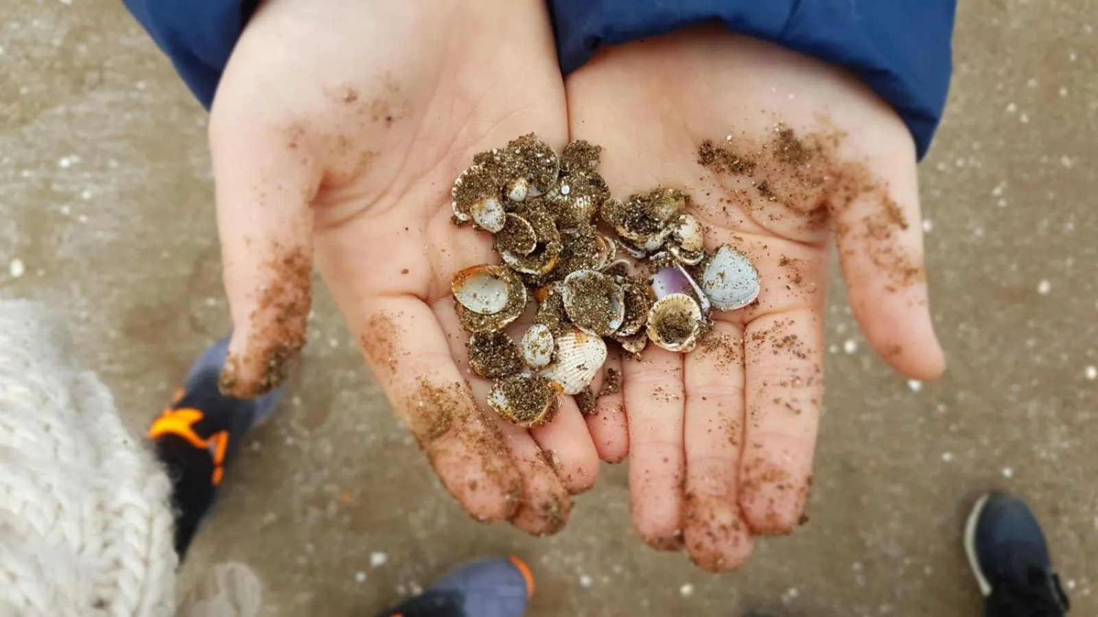 Beach in Princess of Özalp