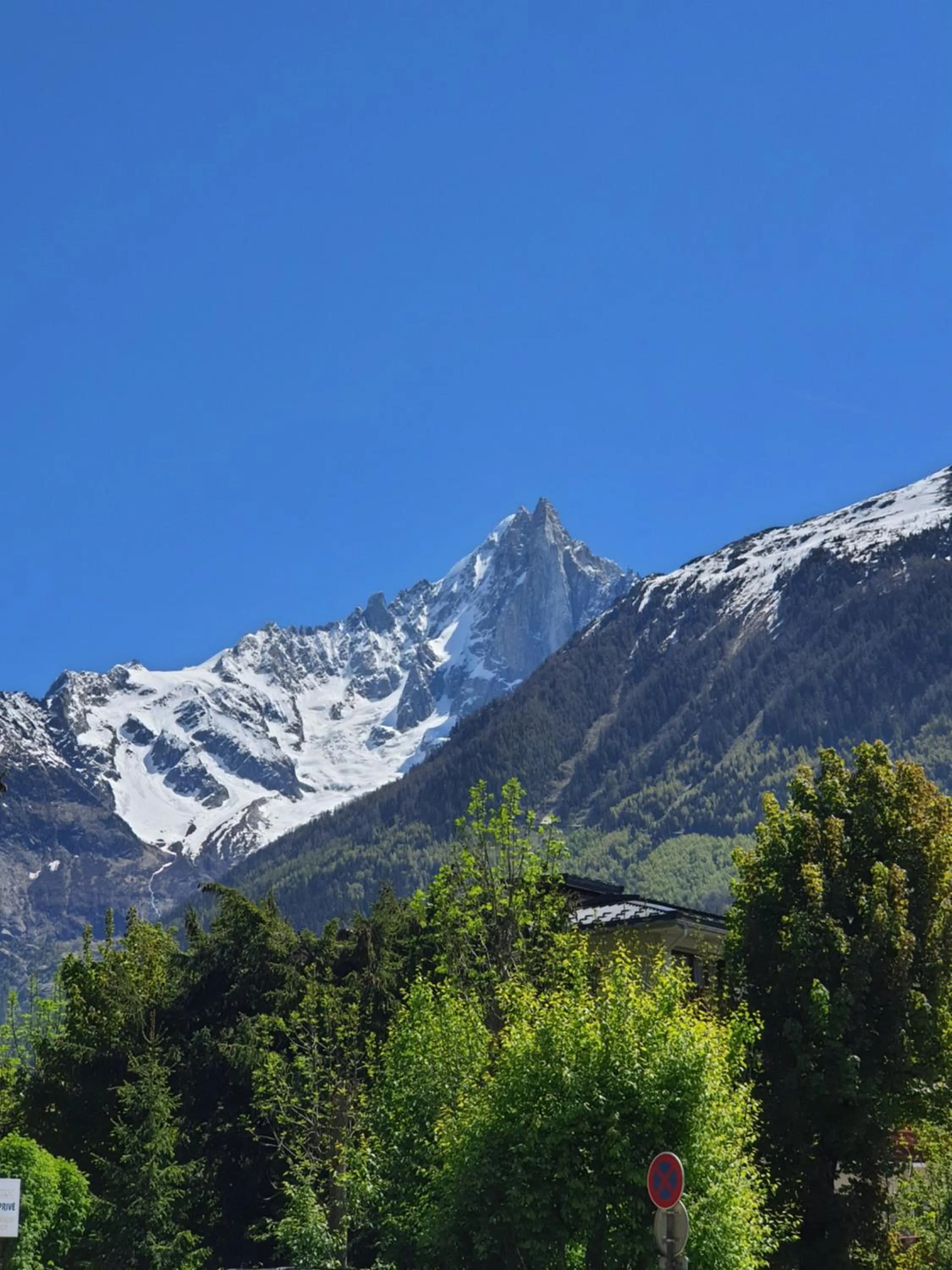Mountain view in Les Balcons du Savoy