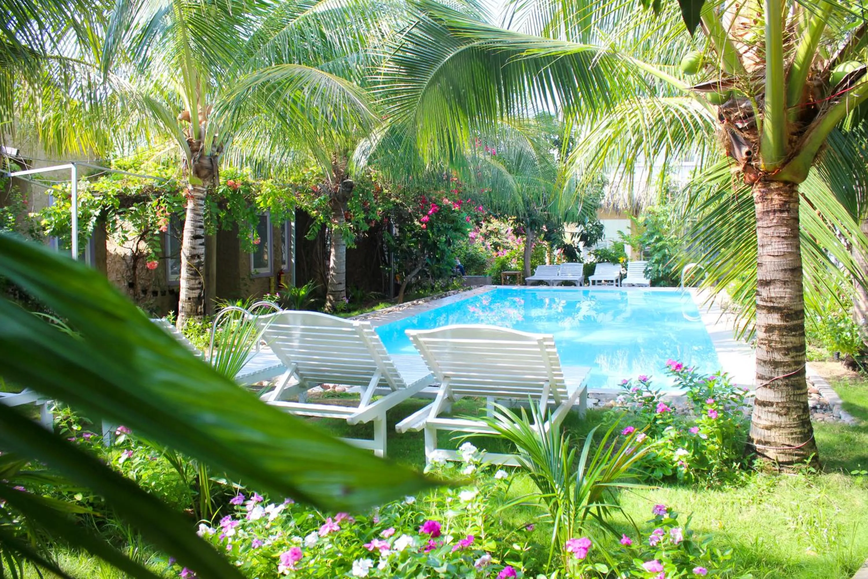 Swimming pool in Mui Ne Sunlight Villa