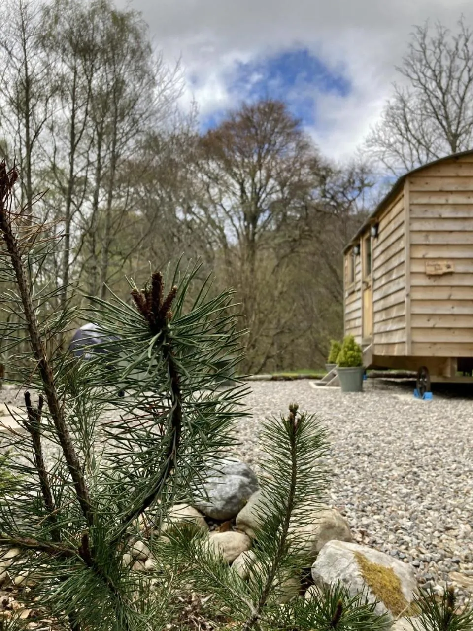 Highland Bear Lodge & Luxury Bear Huts