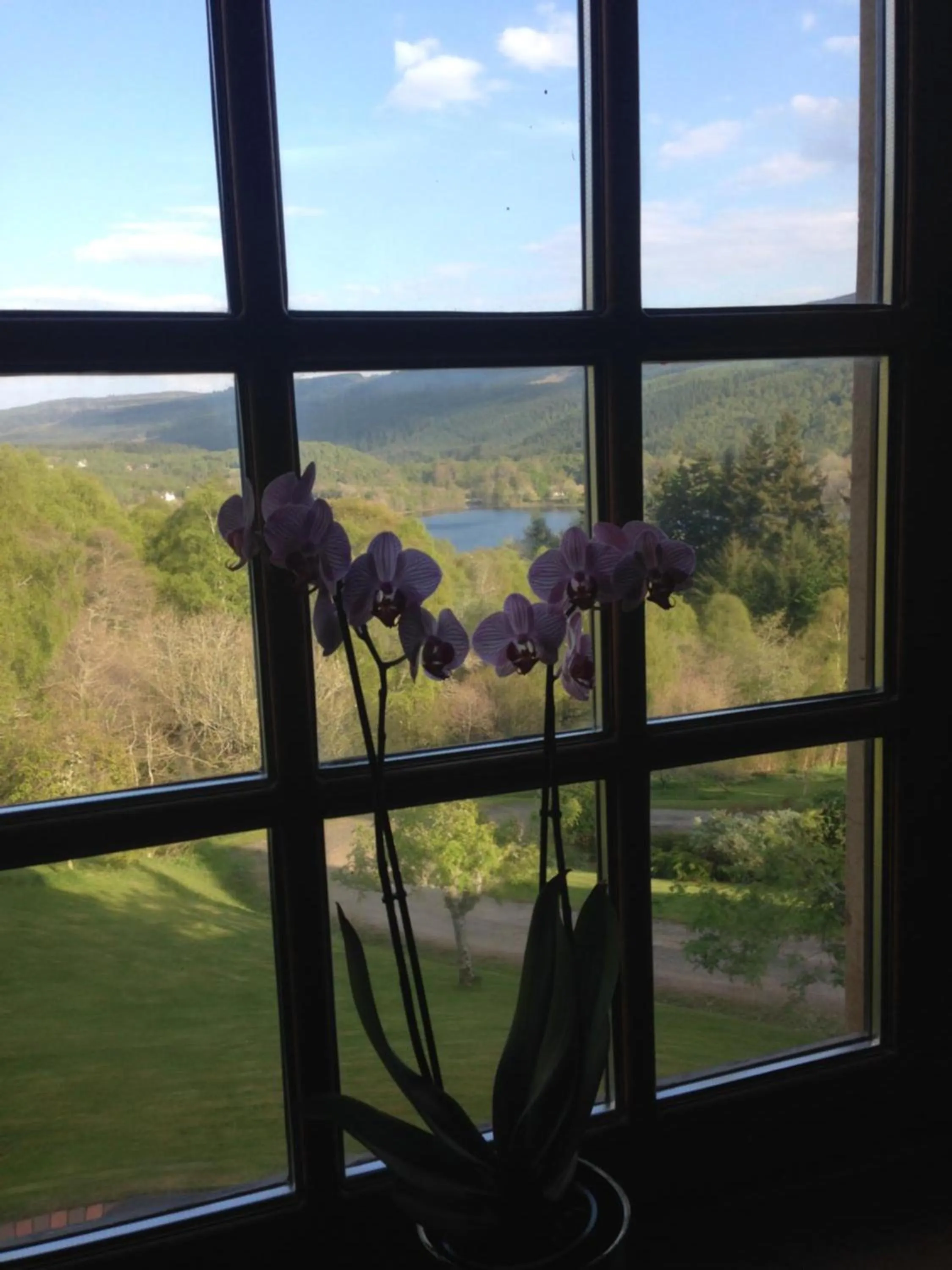 Garden view in Highland Bear Lodge & Luxury Bear Huts