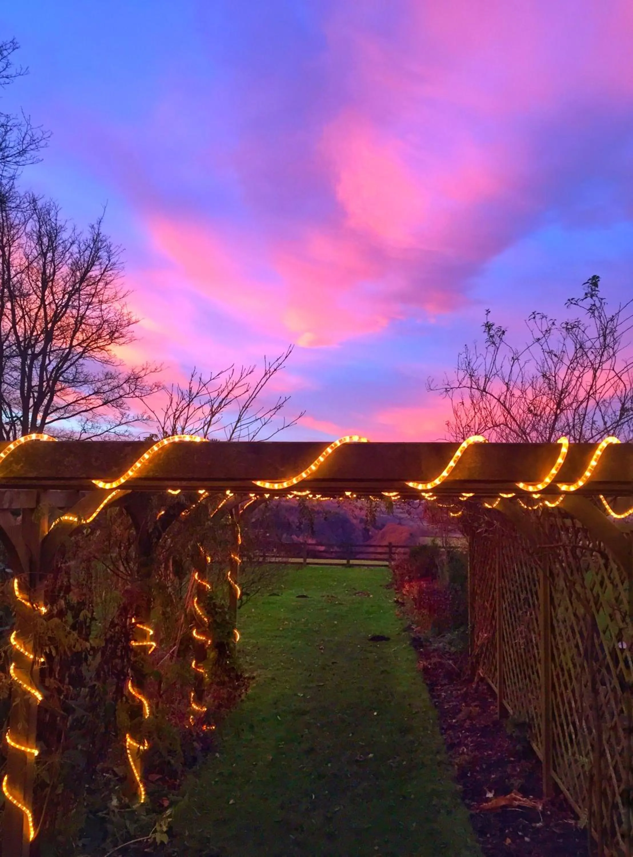 Garden in Mallyan Spout Hotel