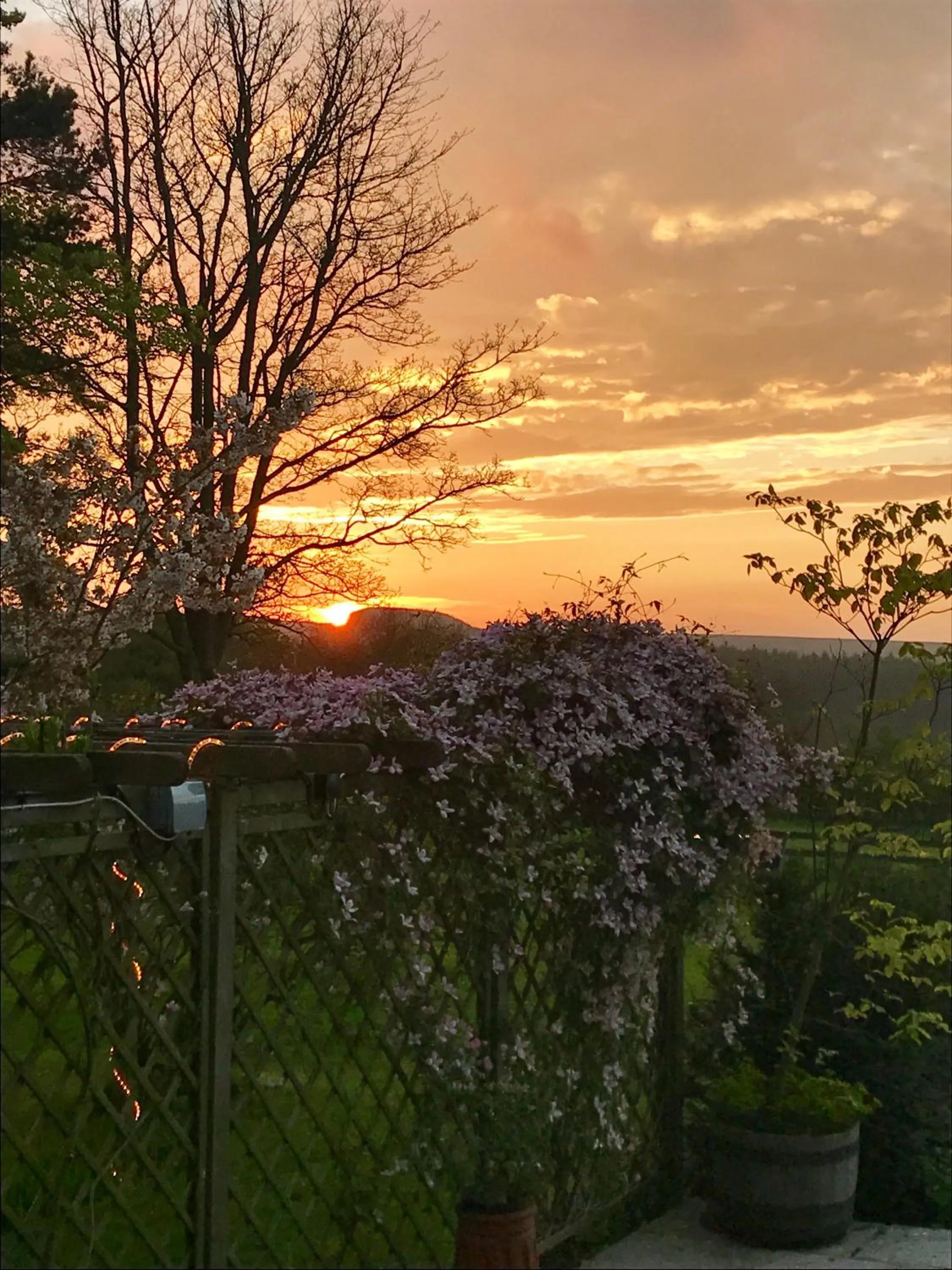 Garden view in Mallyan Spout Hotel