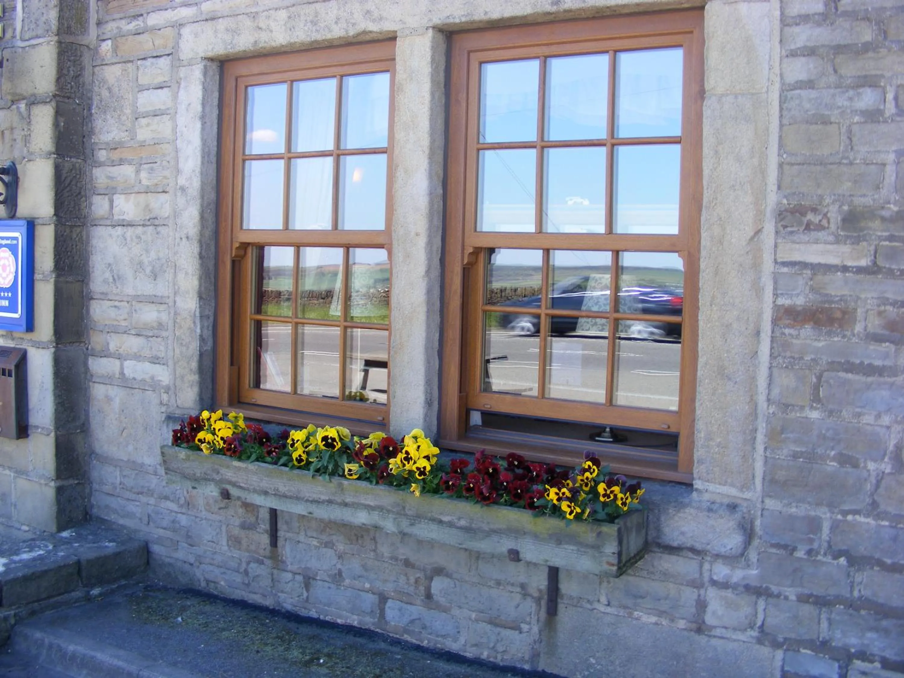 Day in The Dog and Partridge