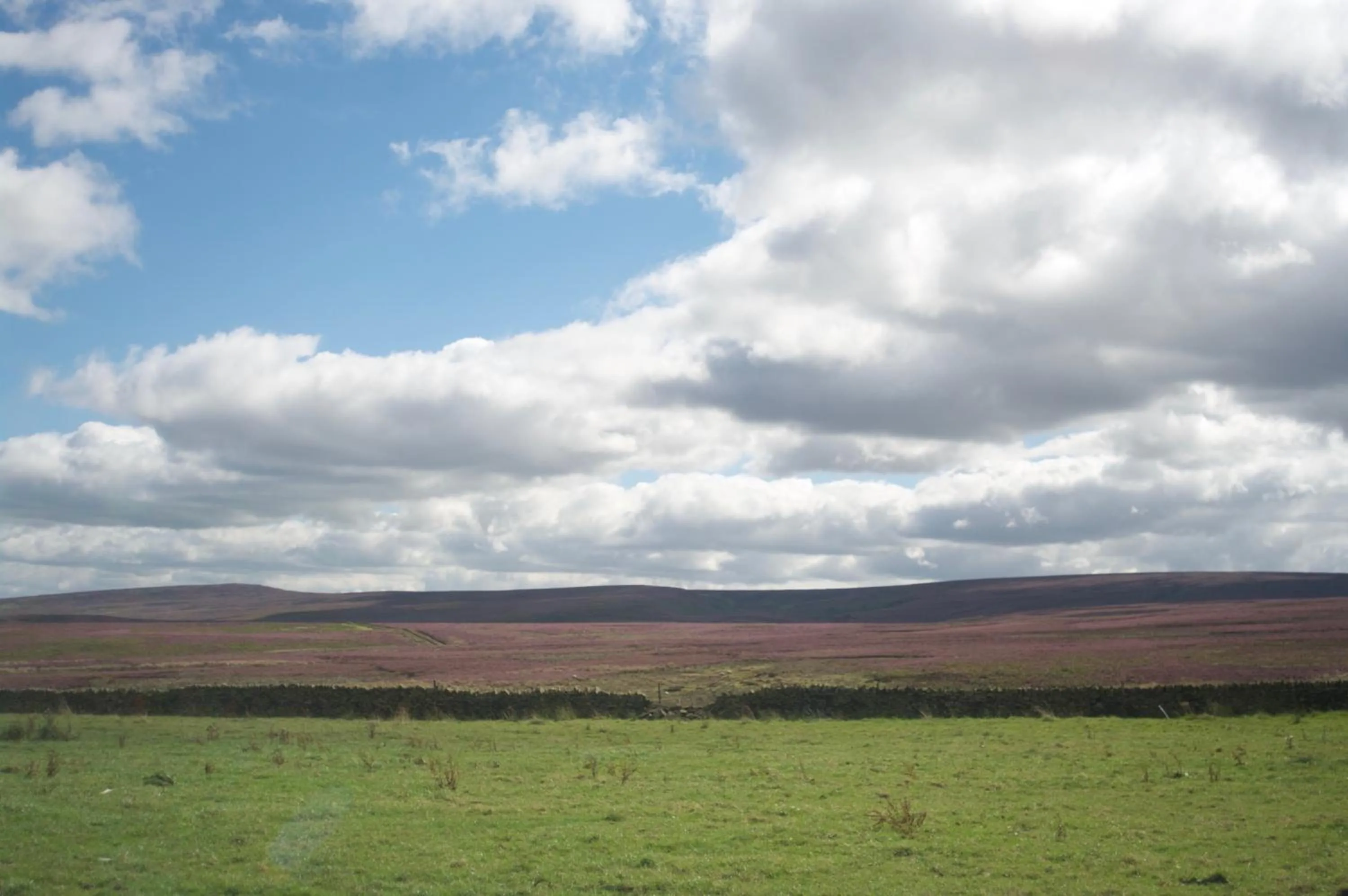 Natural landscape in The Dog and Partridge