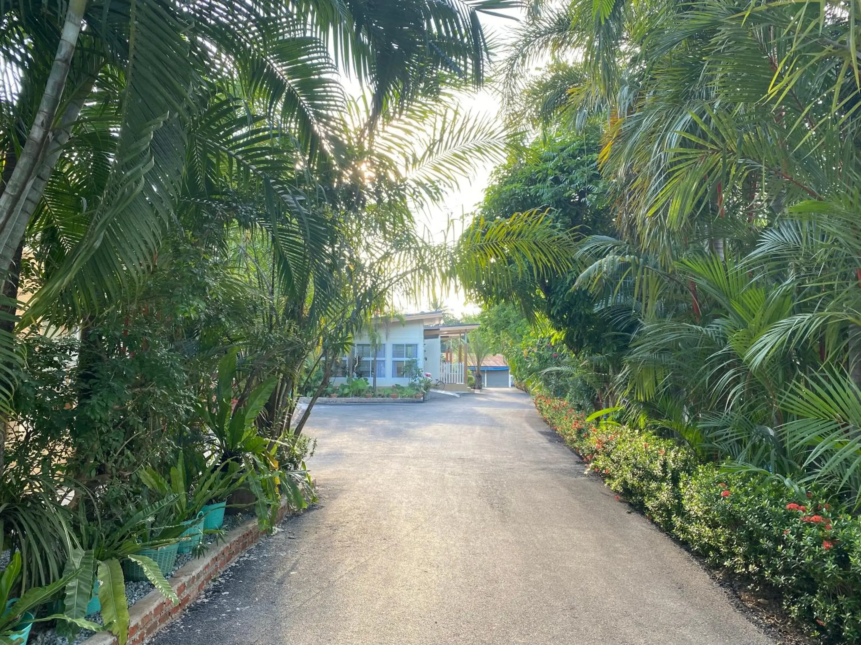 Baan Suan Palm Resort Baan Suan Palm Resort