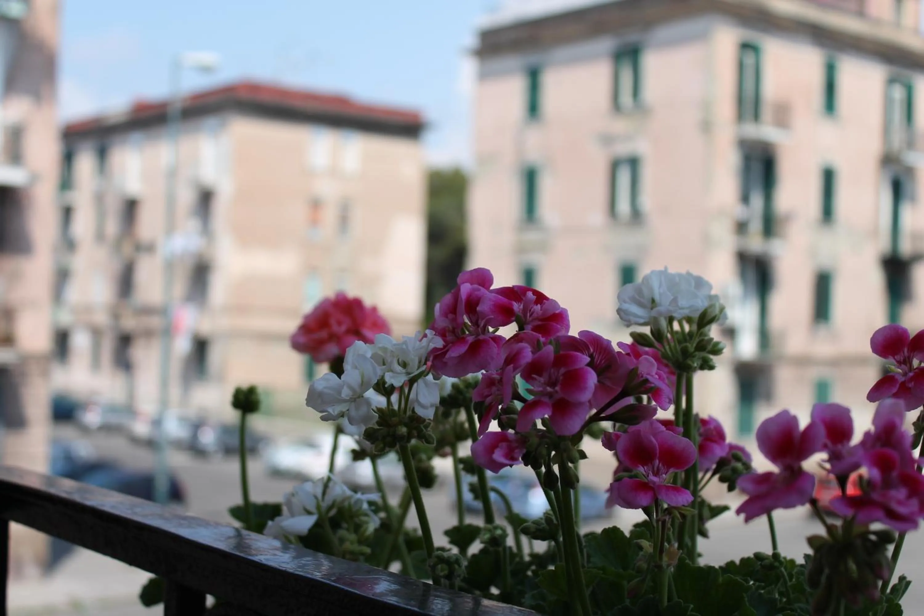 Property building in B&B Paura