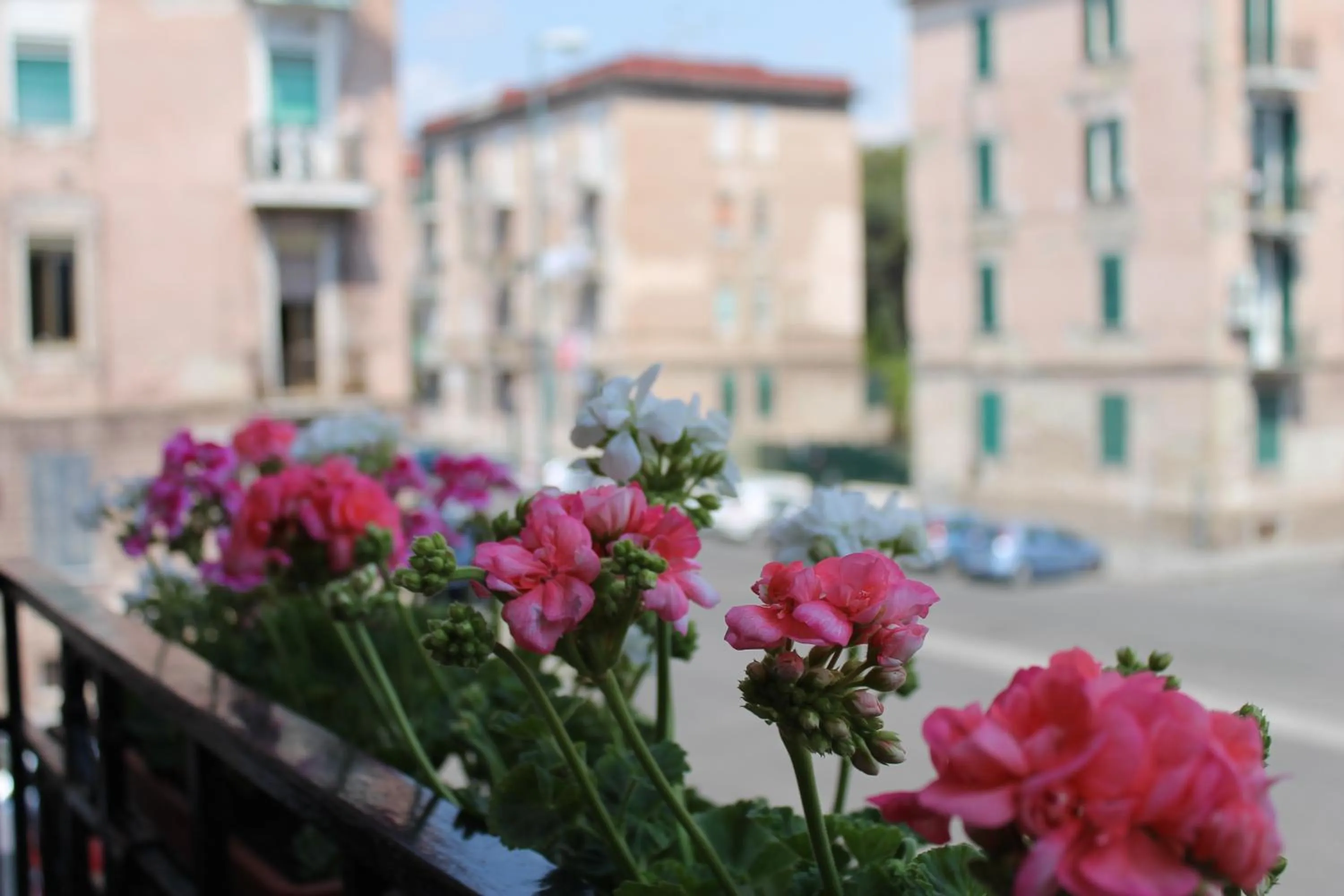 Property building in B&B Paura