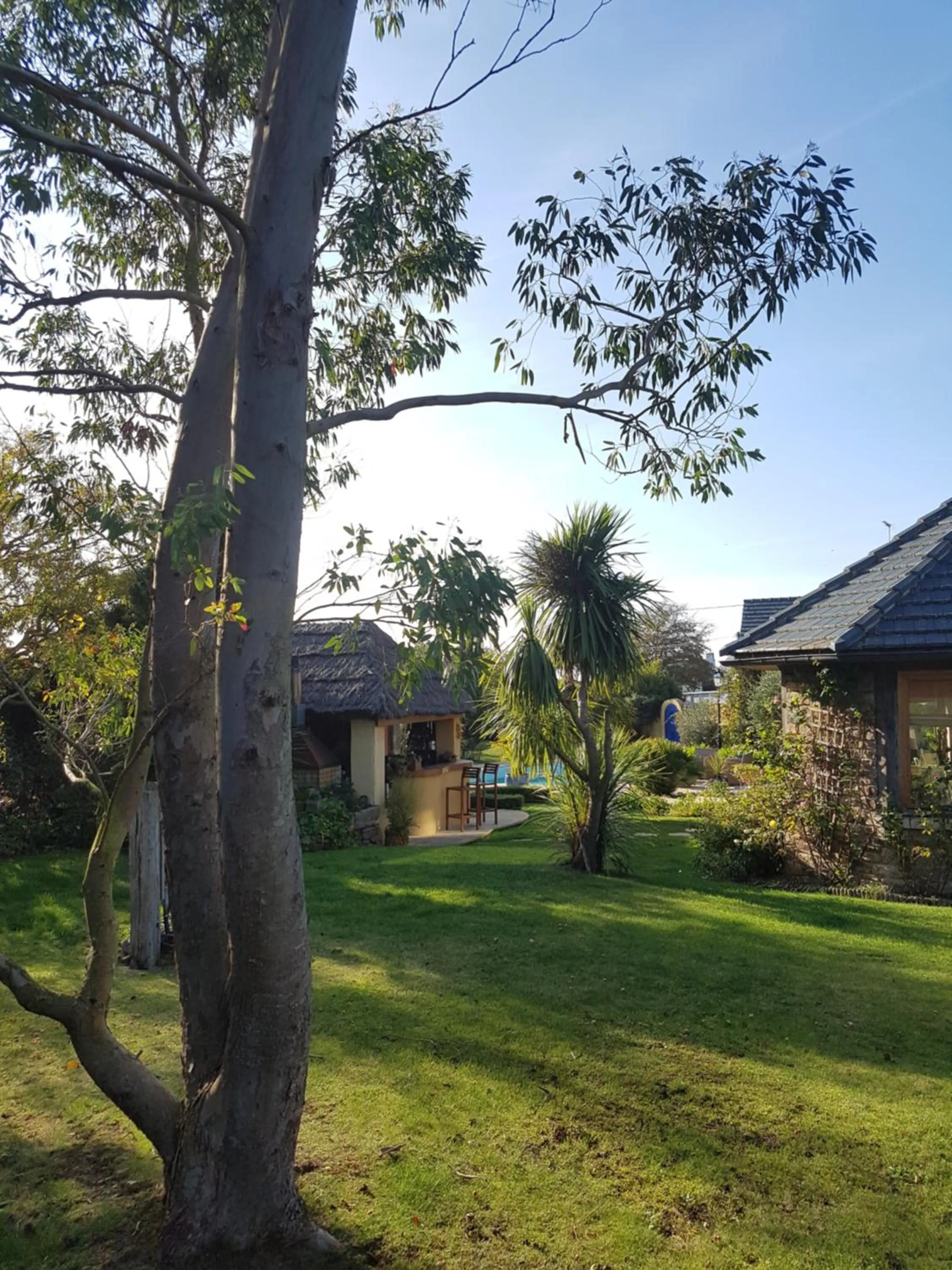 Garden in B&B Lou Mas