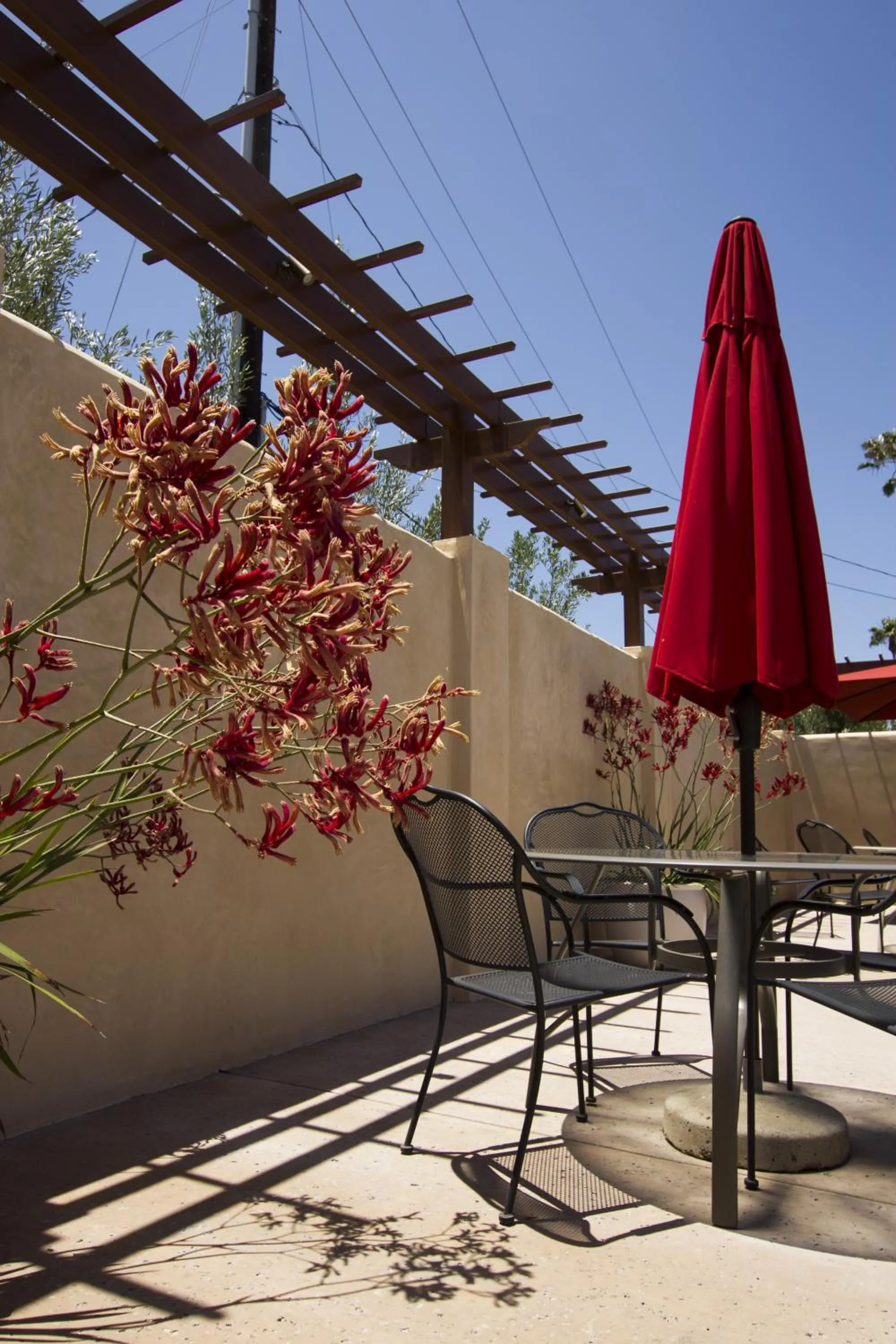 Swimming pool in Casa Ojai Inn