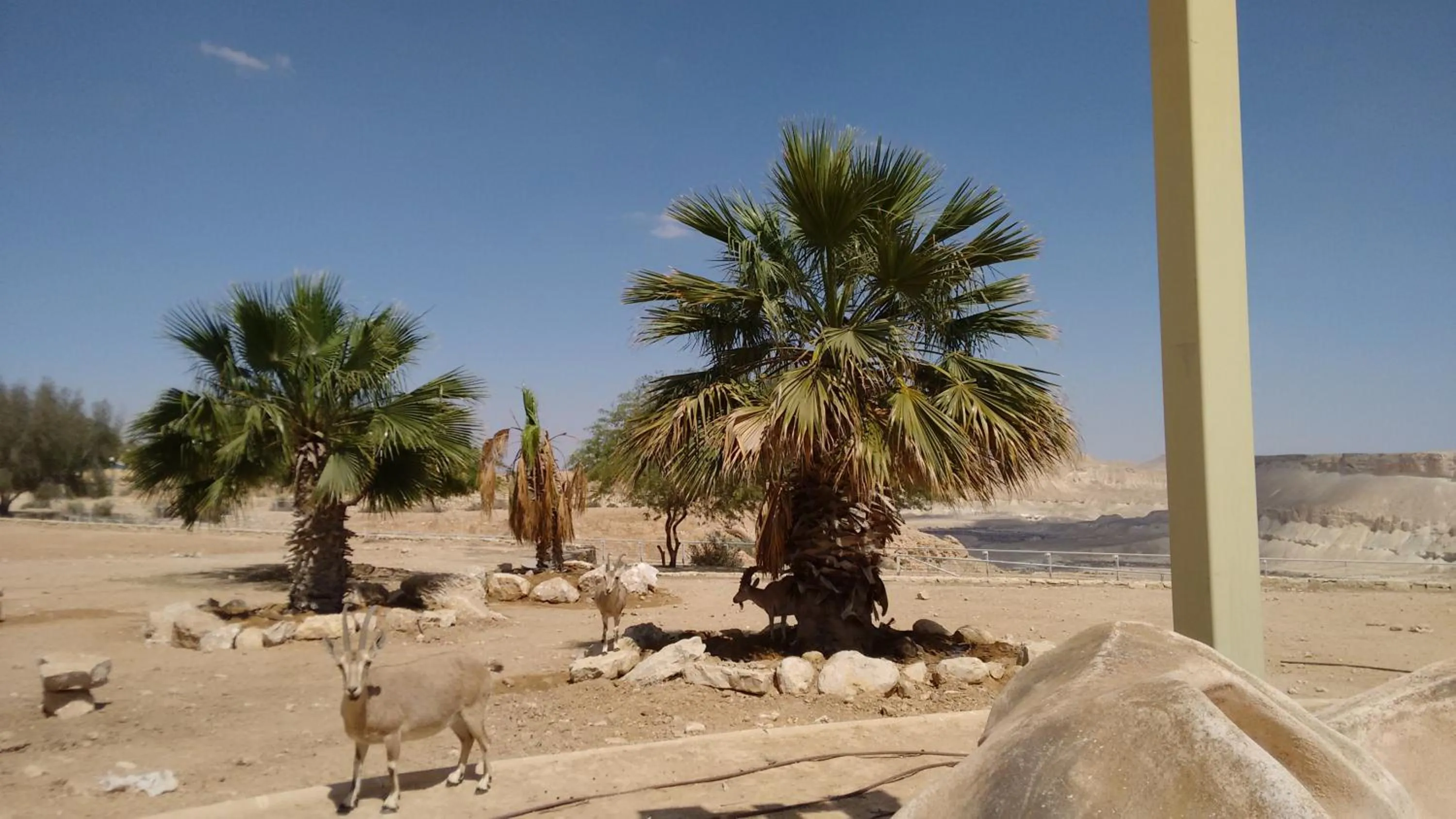 View (from property/room) in Shoshanat Hamidbar