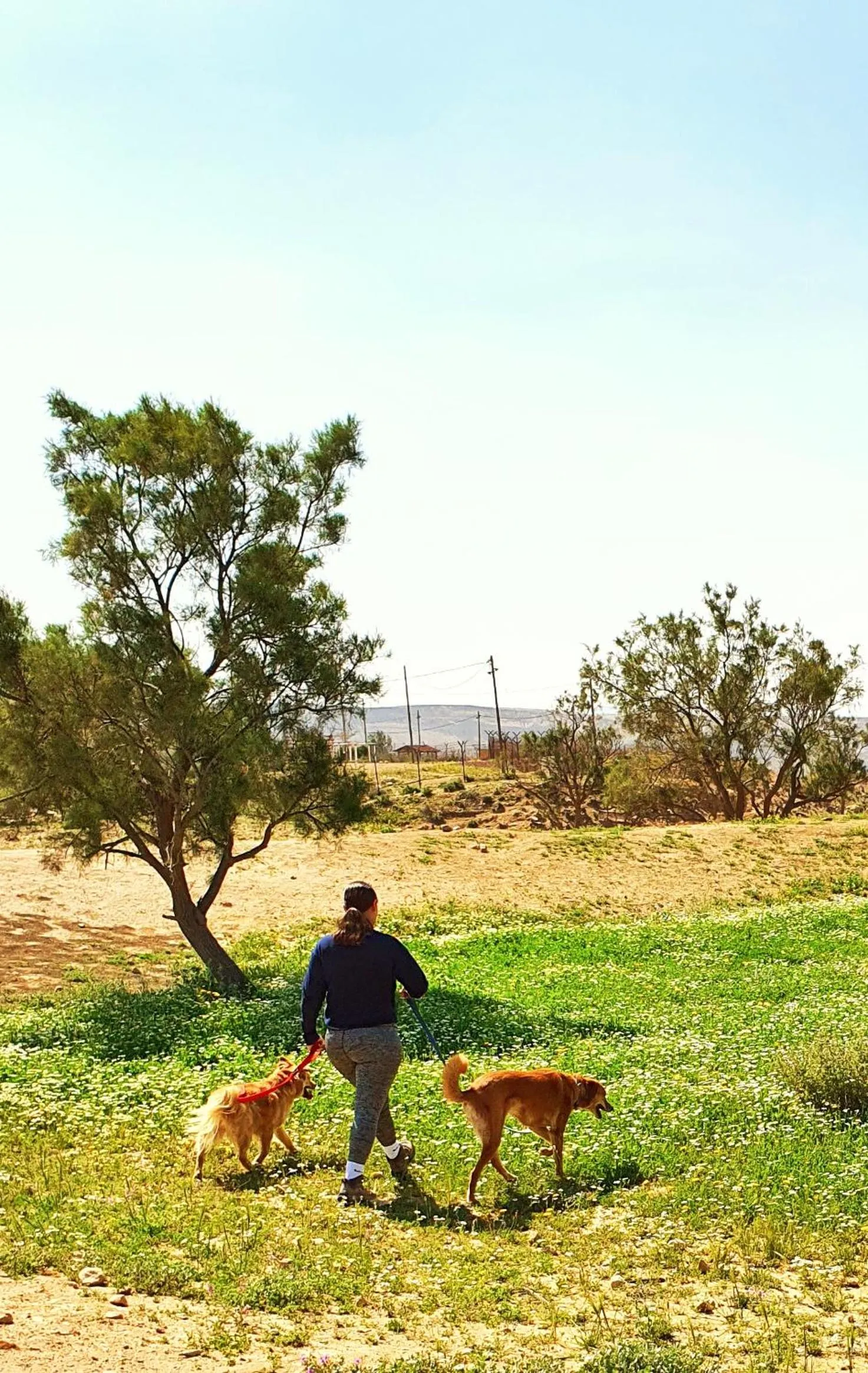 Natural landscape in Shoshanat Hamidbar