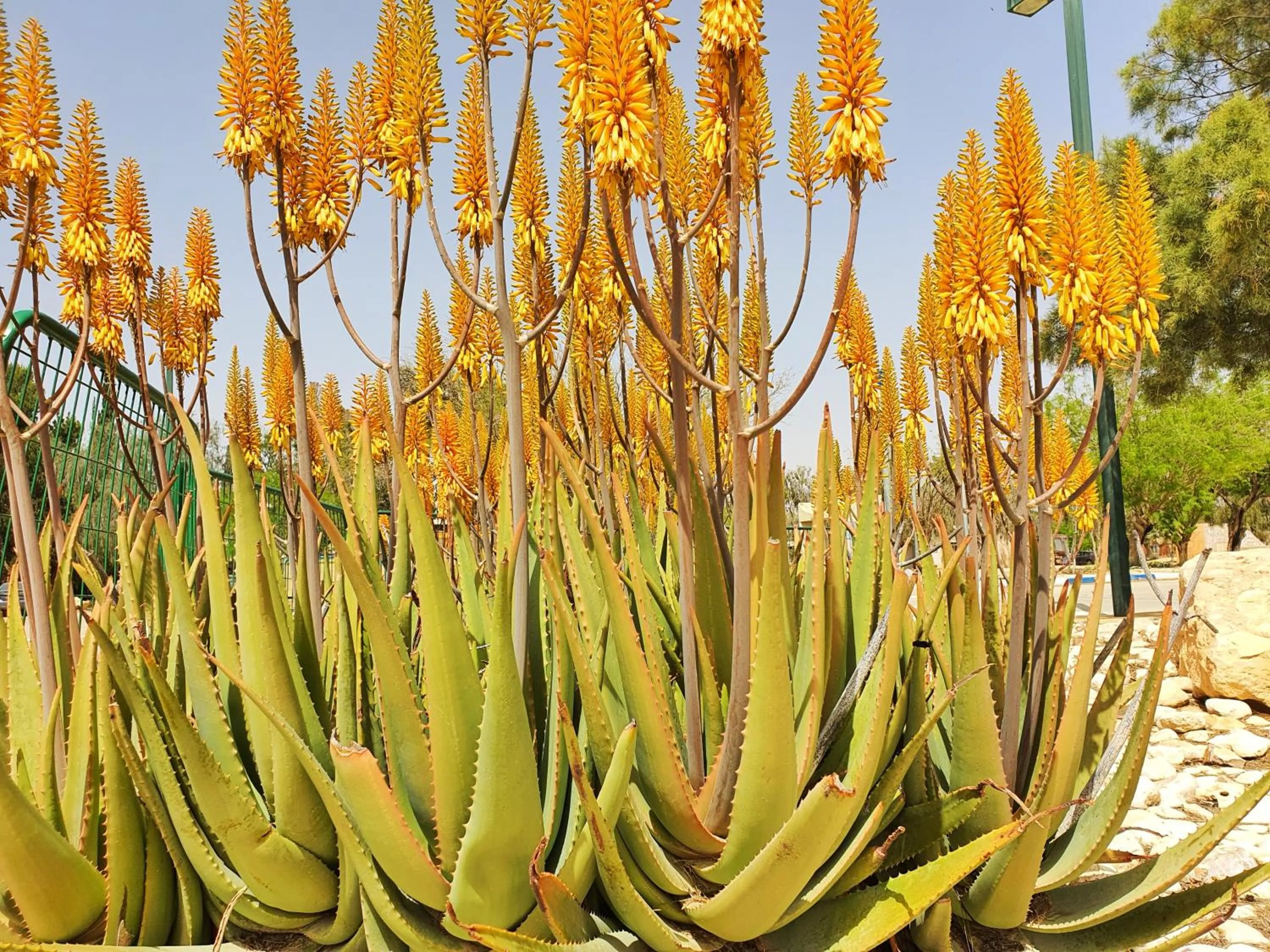 View (from property/room) in Shoshanat Hamidbar